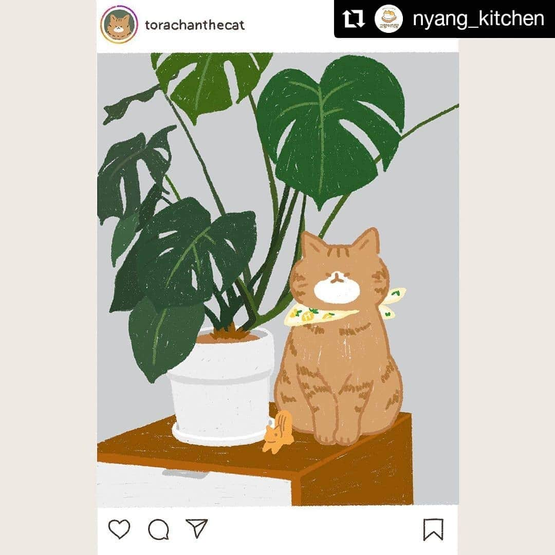 寅次郎（とらちゃん）さんのインスタグラム写真 - (寅次郎（とらちゃん）Instagram)「#Repost @nyang_kitchen • • • • • • Thank you so much Painted by @nyang_kitchen  . @nyang_kitchen さんがふんわり可愛いイラストを描いてくださいました🐈💓 . 優しい色合いで待ち受けに使いたくなりました🧡 . . #cat #cute #meow #貓 #ねこ #無敵の親バカ同盟 #猫のいる暮らし #にゃんすたぐらむ #イラスト」8月5日 22時44分 - torachanthecat