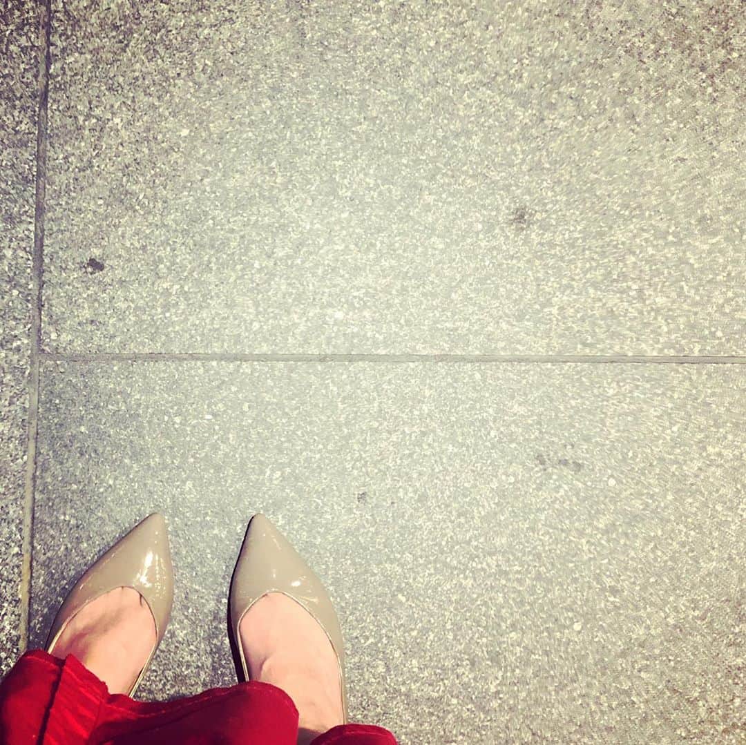 藤田朋子さんのインスタグラム写真 - (藤田朋子Instagram)「青と赤 シンプル  ららら🎵」8月5日 23時11分 - chiendormant