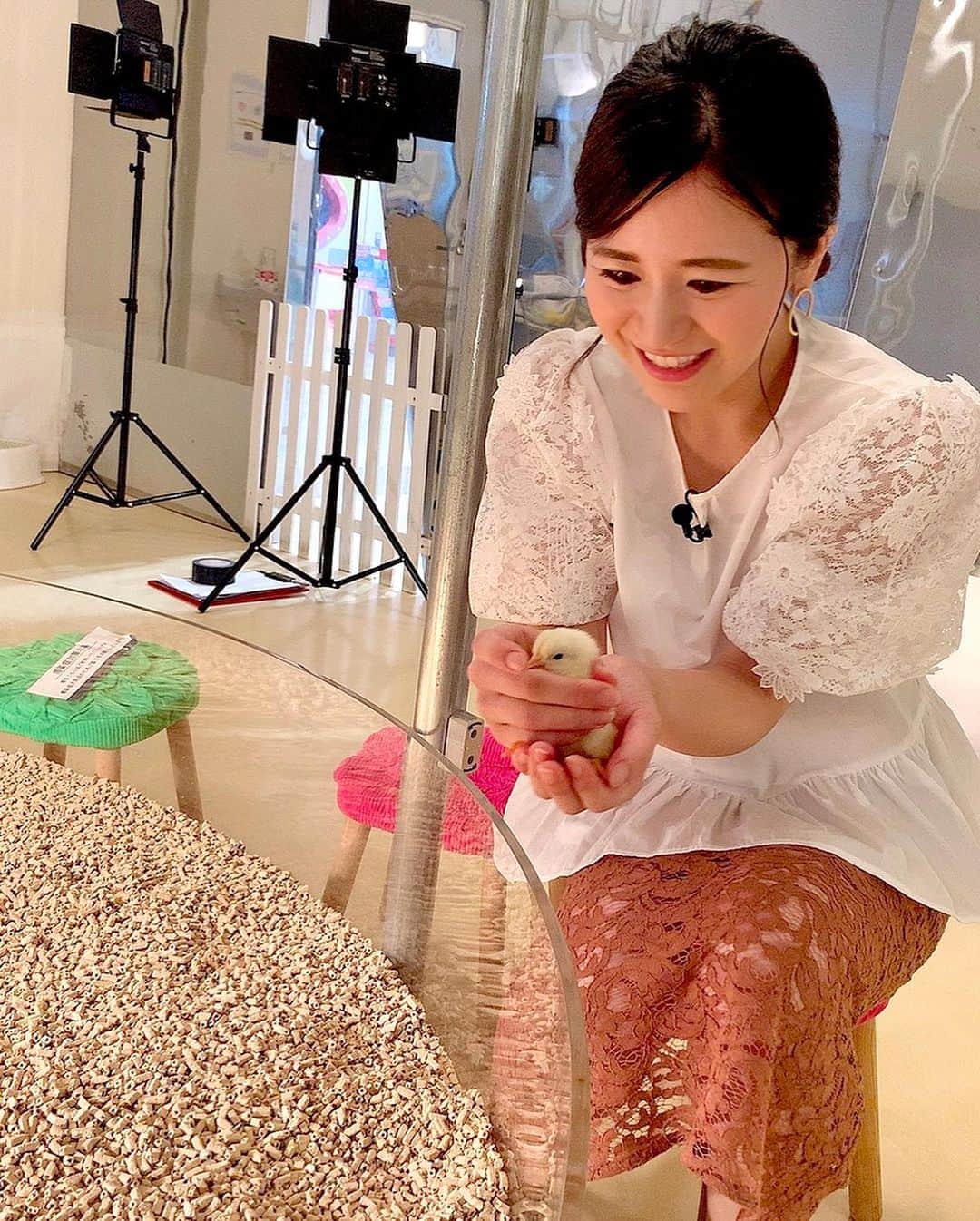 のインスタグラム：「🐥 * 先日のロケで出会った 可愛い動物たち😍 * フワフワで可愛かった〜 癒される🥺 * 明日はNews勤務です🙋🏼‍♀️ * おやすみなさい〜☆ * #癒し #ヒヨコ #動物 #aeon #aeonmall #まくはりぽーと  #chiba #チバテレ #アナウンサー #リポーター」