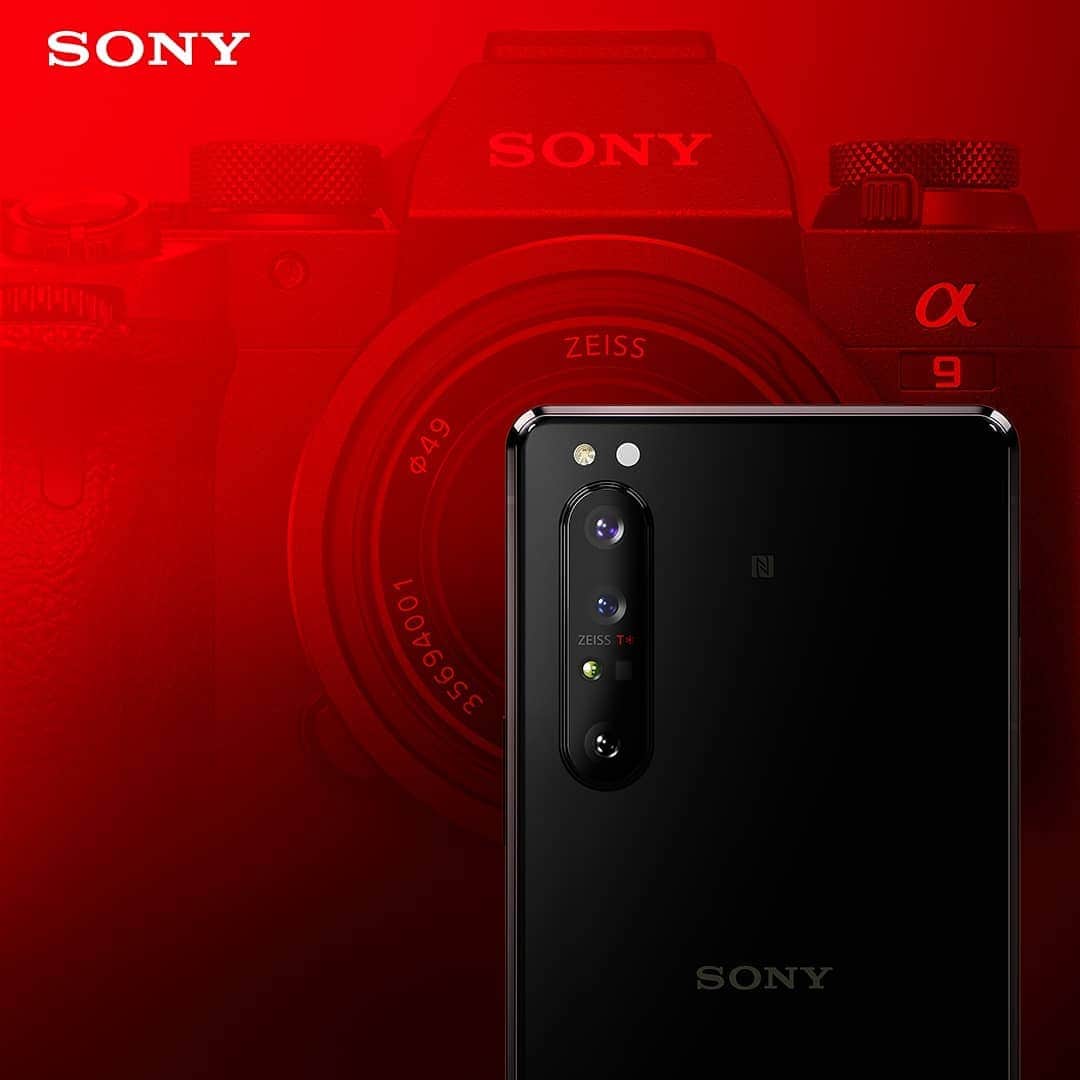 Sony Mobileさんのインスタグラム写真 - (Sony MobileInstagram)「Co-developed with Sony’s Alpha 9 engineers, experience exquisite smartphone photography with Xperia 1 II.  #Xperia1II #Xperia #SonyXperia #Camera #SmartphonePhotography #MobilePhotography #SonyAlpha @SonyAlpha」8月5日 23時17分 - sonyxperia