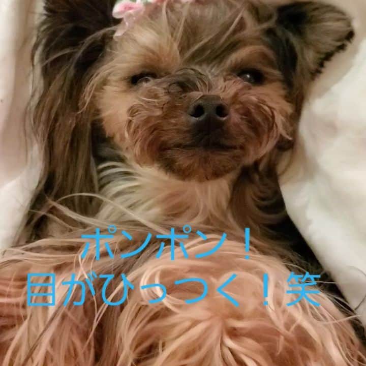 武東由美のグルメインスタ