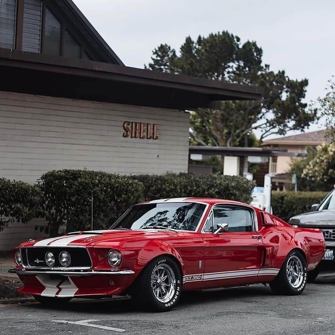 Classics Dailyさんのインスタグラム写真 - (Classics DailyInstagram)「#ClassicsFeature _____ Very nice GT350 with some flares. The GT350 was not built for comfort or ease of driving. Did you know there were 34 "GT350R" race-spec cars built specifically for competition use under SCCA rules, and the model was the B-Production champion for three straight years? _____ #classiccar #musclecar #hotrod #protouring #prostreet #restomod #classicsdaily #streetrod #streetcar #customcar #hotrods #streetrods #shelby #gt350」8月6日 0時03分 - classicsdaily