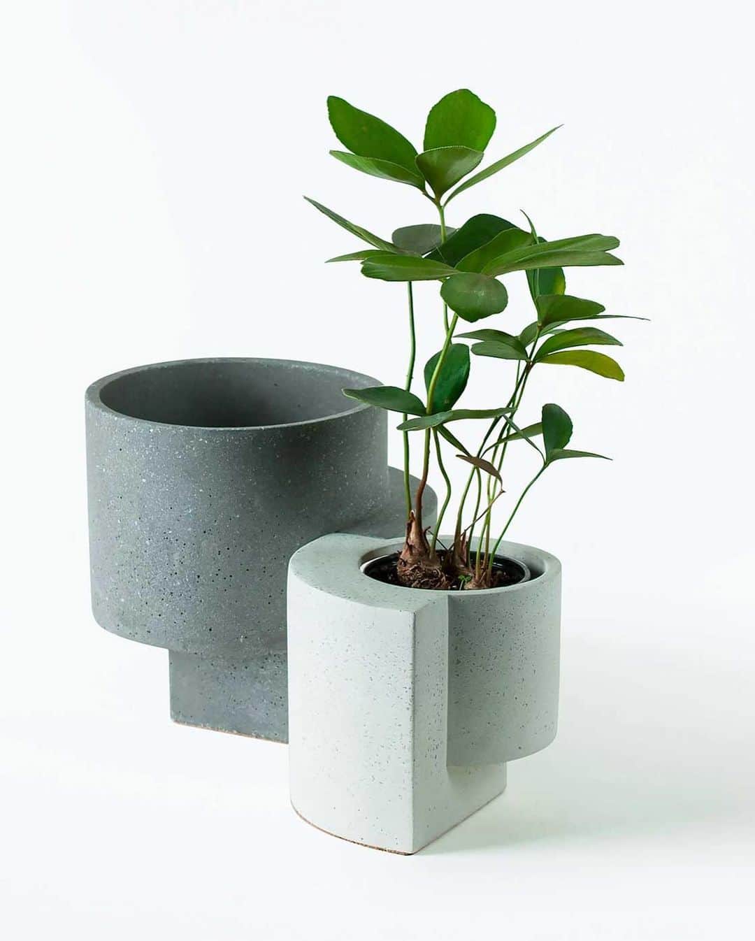 Design Milkさんのインスタグラム写真 - (Design MilkInstagram)「@tortugaliving just introduced their latest collaboration – this time with @lightandladder founder Farrah Sit, who designed a sculptural system for both indoor and outdoor gardening. The Platform Vessel Collection comprises concrete and natural stone #terrazzo #planters and #bowls in geometric shapes that can nestle together or be used on their own. \\\ Learn more on designmilk[dot]com or head to the link in our bio to shop!」8月6日 0時15分 - designmilk