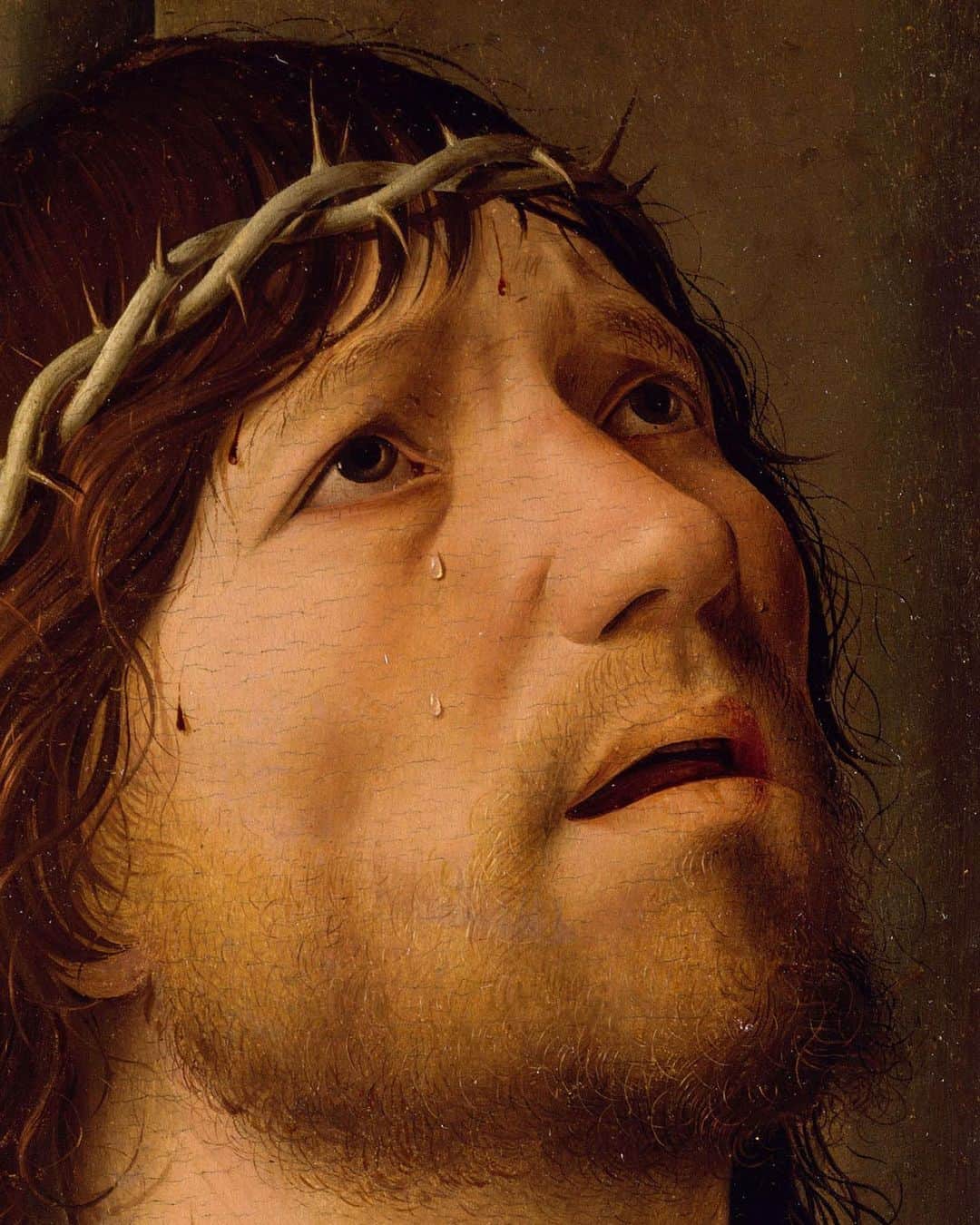 のインスタグラム：「. 🇫🇷 Cet été, nous vous emmenons au plus près de nos collections ! Au cœur de la Grande Galerie, arrêtez-vous devant Le Christ à la colonne, petit tableau de dévotion privée peint par Antonello de Messine à la fin de sa carrière, entre 1476 et 1478. ⤵️ - 🔎 Le Christ est représenté en buste de trois quarts, adossé à une colonne, couronné d'épines, la corde au cou. Ce tableau synthétise la Passion du Christ à travers plusieurs symboles : la couronne d'épines pour les outrages, la colonne pour la flagellation et la corde pour le portement de croix. - 🙏 L'artiste a choisi un cadrage très serré pour rapprocher le visage du Christ et accentuer la force pathétique de l'image. Le spectateur peut ainsi observer l'intensité de la souffrance de cet homme dont la tête est renversée, les lèvres entrouvertes et le regard tourné vers le ciel. De petites dimensions (30 x 21 cm), cette peinture à l’usage de la dévotion privée, destinée à orner une chambre ou une chapelle d’une maison particulière, invite à la méditation et à la prière. - - - - 🌎 Take a closer look at our collections this summer! In the Grande Galerie, stop to admire Christ at the Column, a small painting for private devotion that Antonello da Messina painted in his late career, between 1476 and 1478. ⤵️ - 🔎 It is a three-quarter bust portrait of Christ against a column, with a rope around his neck and wearing a crown of thorns. The three symbols recount the Passions of Christ: the column makes reference to the Flagellation of Christ, the crown of thorns to the Mocking of Christ and the cord to Christ Carrying the Cross. - 🙏 The artist chose to set Christ’s face in a tight frame to reinforce the pathos of the image. Viewers can feel how much he is suffering, as communicated by his tipped back head, parted lips and gaze looking up to the sky. The painting encourages contemplation and prayer. It was intended for private devotion, in someone’s room or private chapel, and measures just 30 x 21 cm. -  📷 © RMN - Grand Palais (Musée du Louvre) / Jean-Gilles Berizzi / Maëlys Feunteun . . #Louvre #MuséeDuLouvre」
