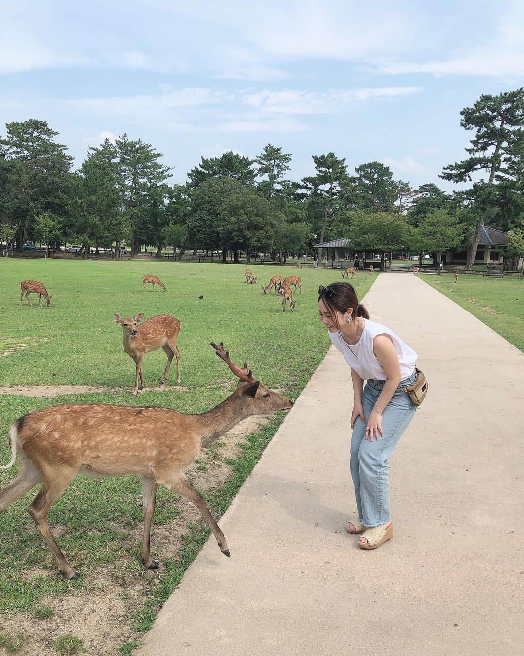 加藤るみさんのインスタグラム写真 - (加藤るみInstagram)「🍃🦌 #奈良公園」8月6日 11時23分 - rumicinema
