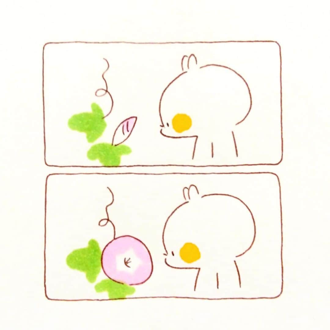 カモのインスタグラム