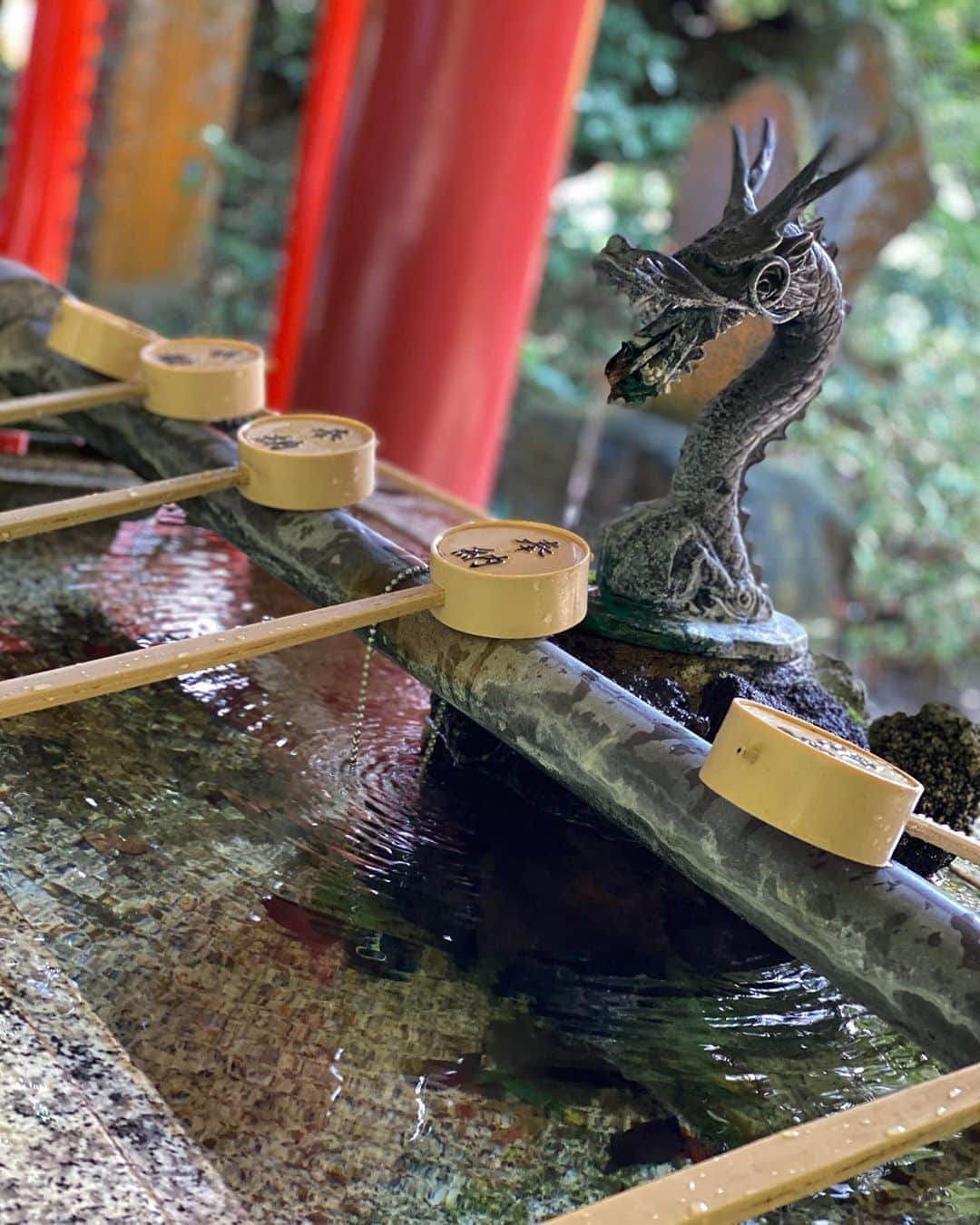 のインスタグラム：「⛩来宮神社﻿の手水舎🐲 ﻿ ﻿ #Kinomiya﻿ ﻿ ﻿ ﻿」