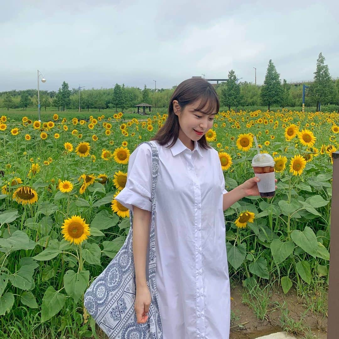 HOTPING公式アカウントさんのインスタグラム写真 - (HOTPING公式アカウントInstagram)「ひまわり畑🌻とシャツワンピースを着たインハちゃん💕相性バツグンですね🤭 セットのストラップをつけると女の子らしいシルエットを演出できる着まわし力抜群なシャツワンピ、ソラ、ホワイトの2カラー展開です🙆‍♀️ - #ワンピース #シャツワンピ #ひまわり #🌻」8月6日 10時26分 - hotping_japan