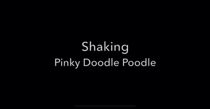 PINKY DOODLE POODLEのインスタグラム