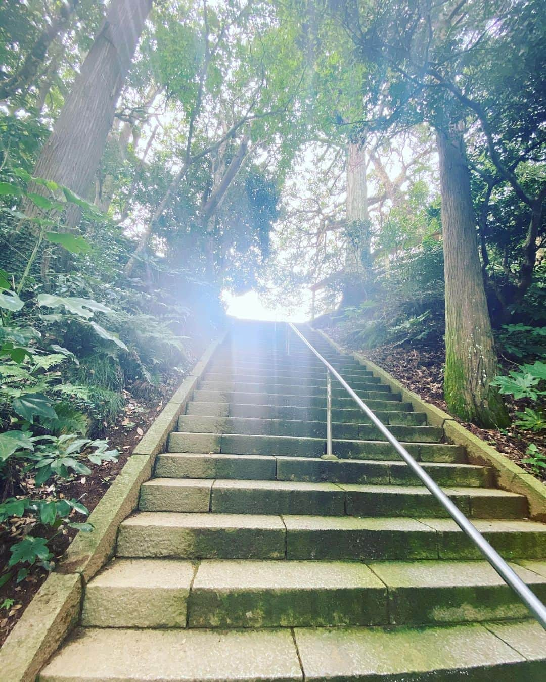 SHOCK EYEさんのインスタグラム写真 - (SHOCK EYEInstagram)「猿田神社⛩ ここは本当すごい。 鳥居の前で写真撮ろうとしたら、iPhoneがバグってしまい、写真撮れず、再起動したっけ💦 悠久の時を感じる境内、時が止まったような感覚。 いやー、またいきたいな。 #猿田神社 #神社 #みちひらきの神様 #みちひらき #shrine #撮る写真 #全て白みがかる #なぜ？#千葉 #銚子」8月6日 10時56分 - shockeye_official