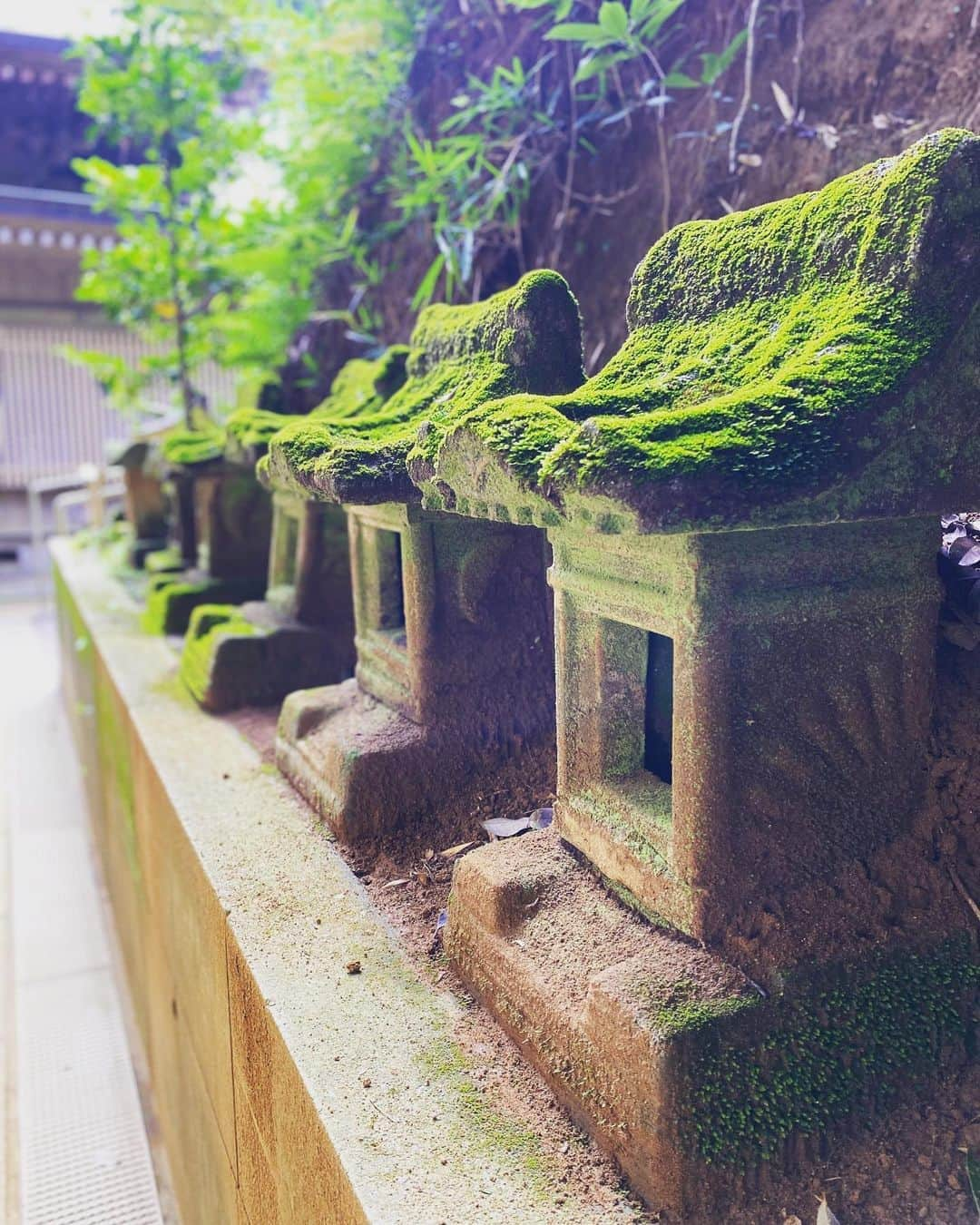 SHOCK EYEさんのインスタグラム写真 - (SHOCK EYEInstagram)「猿田神社⛩ ここは本当すごい。 鳥居の前で写真撮ろうとしたら、iPhoneがバグってしまい、写真撮れず、再起動したっけ💦 悠久の時を感じる境内、時が止まったような感覚。 いやー、またいきたいな。 #猿田神社 #神社 #みちひらきの神様 #みちひらき #shrine #撮る写真 #全て白みがかる #なぜ？#千葉 #銚子」8月6日 10時56分 - shockeye_official