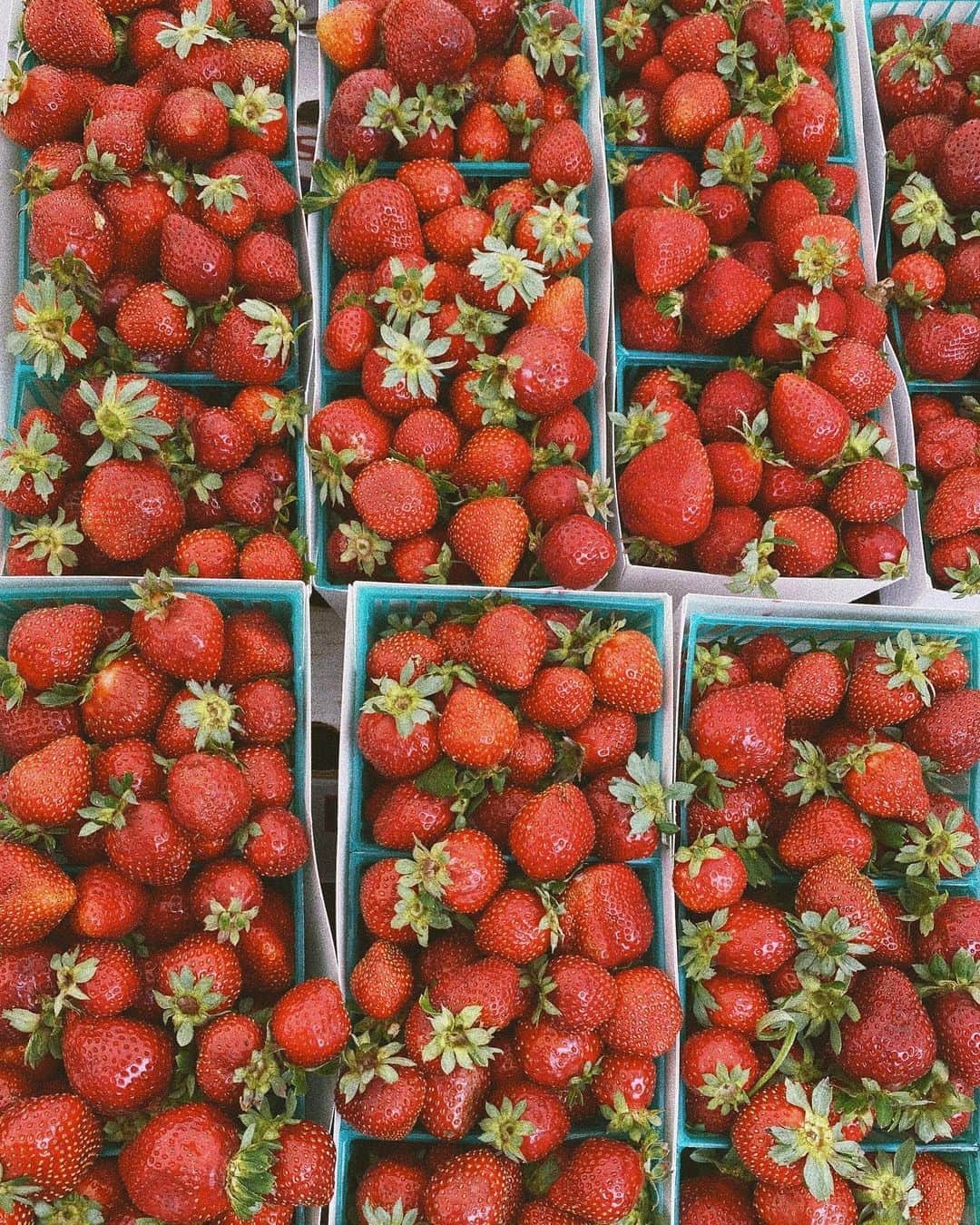 シャーロット・マッキニーのインスタグラム：「I look forward to going to the farmers market now. Who have I become ?」