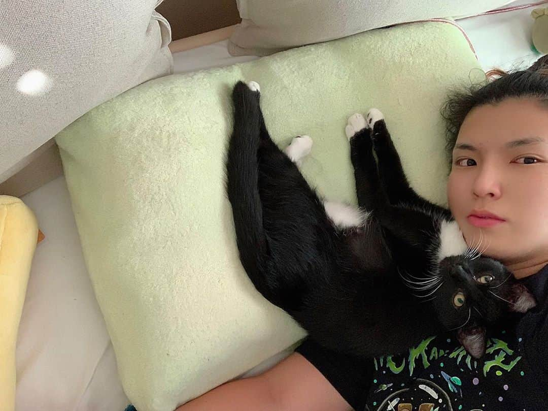 志田光さんのインスタグラム写真 - (志田光Instagram)「‪Pillow ＝Bed‬ ‪Owner＝Pillow, in cats language😹‬ ‪#LifeWithCats #猫のいる暮らし ‬」8月6日 5時09分 - shidahikaru