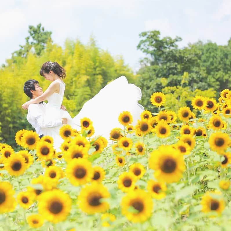 CLAIREのインスタグラム：「青空とひまわりと🌻 ・ @clairebridalstudio」