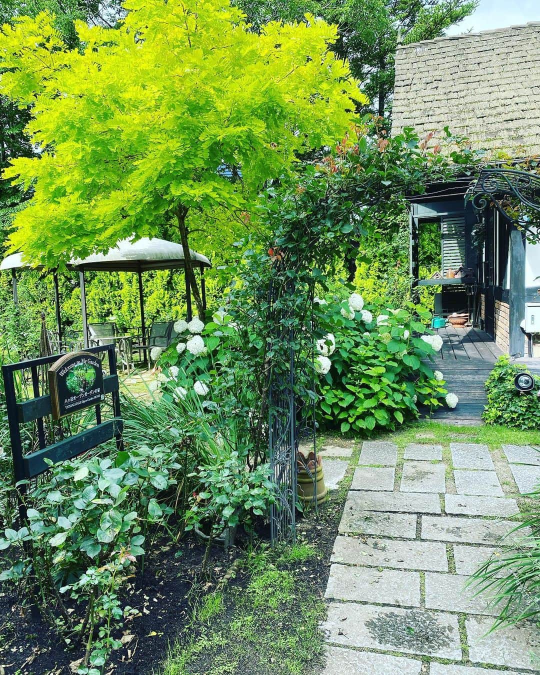 上野水香のグルメインスタ