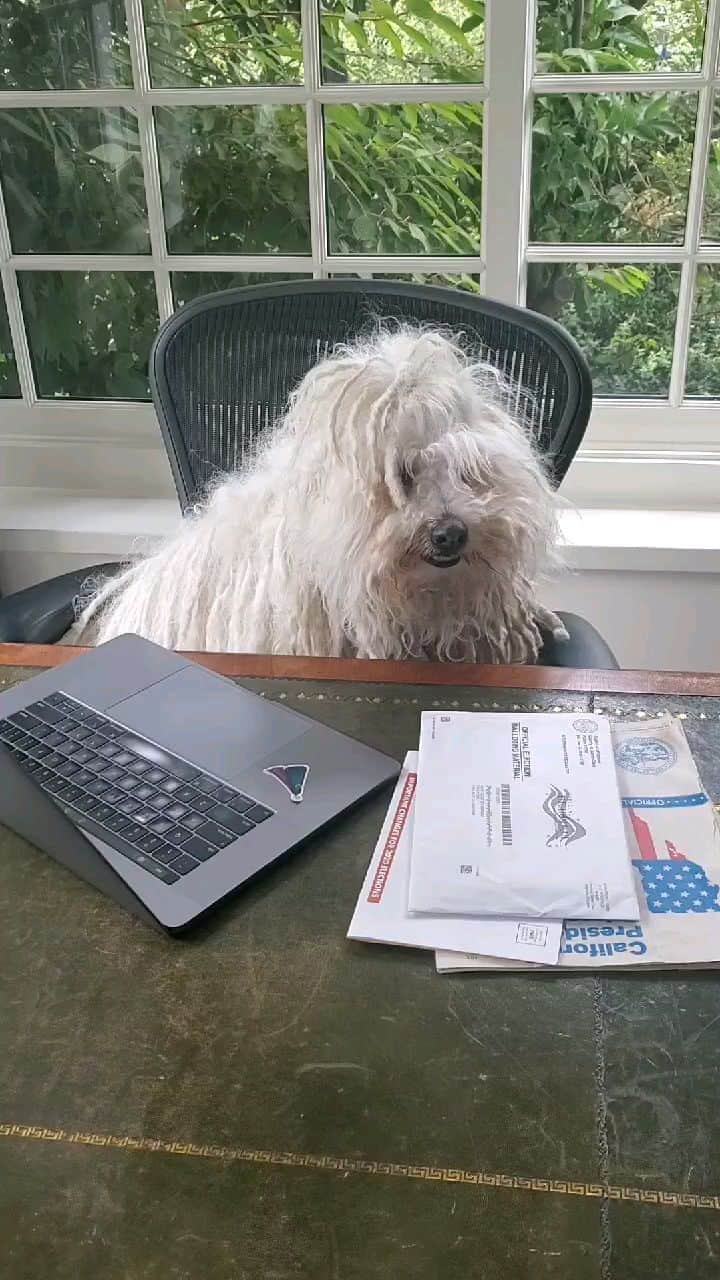 マーク・ザッカーバーグのインスタグラム：「Working from home」