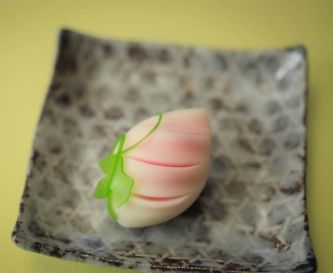 Toru Tsuchieのグルメインスタ