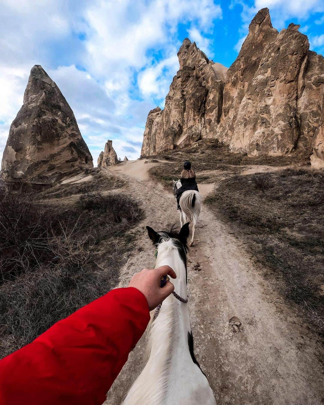 goproさんのインスタグラム写真 - (goproInstagram)「Photo of the Day: Steady steeds 🐴 #GoProFamily member @mr.travelller ⠀⠀⠀⠀⠀⠀⠀⠀⠀ Show off your herd - Save $100 on #GoProHERO8 Black, with a free 32GB SD card + free shipping, when you shop the link in our bio 💰 ⠀⠀⠀⠀⠀⠀⠀⠀⠀ #GoPro #Turkey #Horses #Equestrian #POV」8月6日 7時43分 - gopro