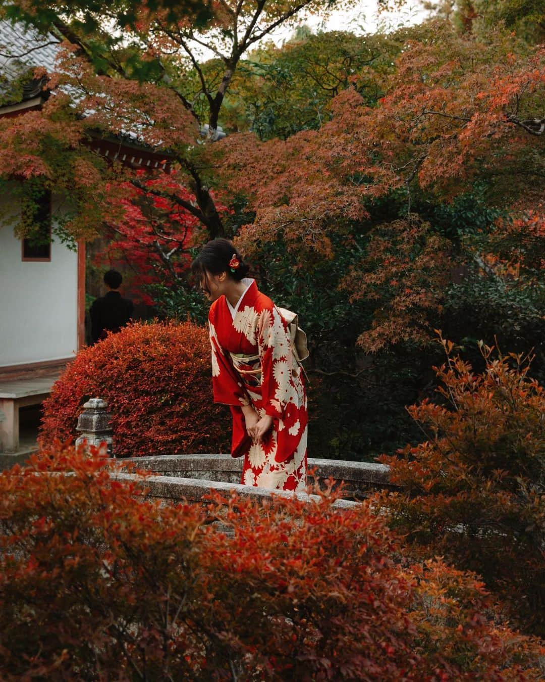 National Geographic Travelさんのインスタグラム写真 - (National Geographic TravelInstagram)「Photos by @MichaelGeorge  In many of the gardens and shrines of Kyoto, Osaka, and Nara, you may see an abundance of locals and visitors dressed in traditional kimonos. Nara is a wonderful, short day trip from Osaka. You can feed the sacred bowing deer, visit a gargantuan Buddha statue, and wander through an overwhelming number of gardens and shrines. The Isui-en garden (pictured here) is one of my favorites. The garden also has a small museum, a traditional teahouse, and a number of vistas that will leave you speechless.  For more photos and writing from my travels, follow along @MichaelGeorge. #japan #fushimiinari #koishikawakorakuen #nijocastle #arashiyama」8月6日 7時52分 - natgeotravel