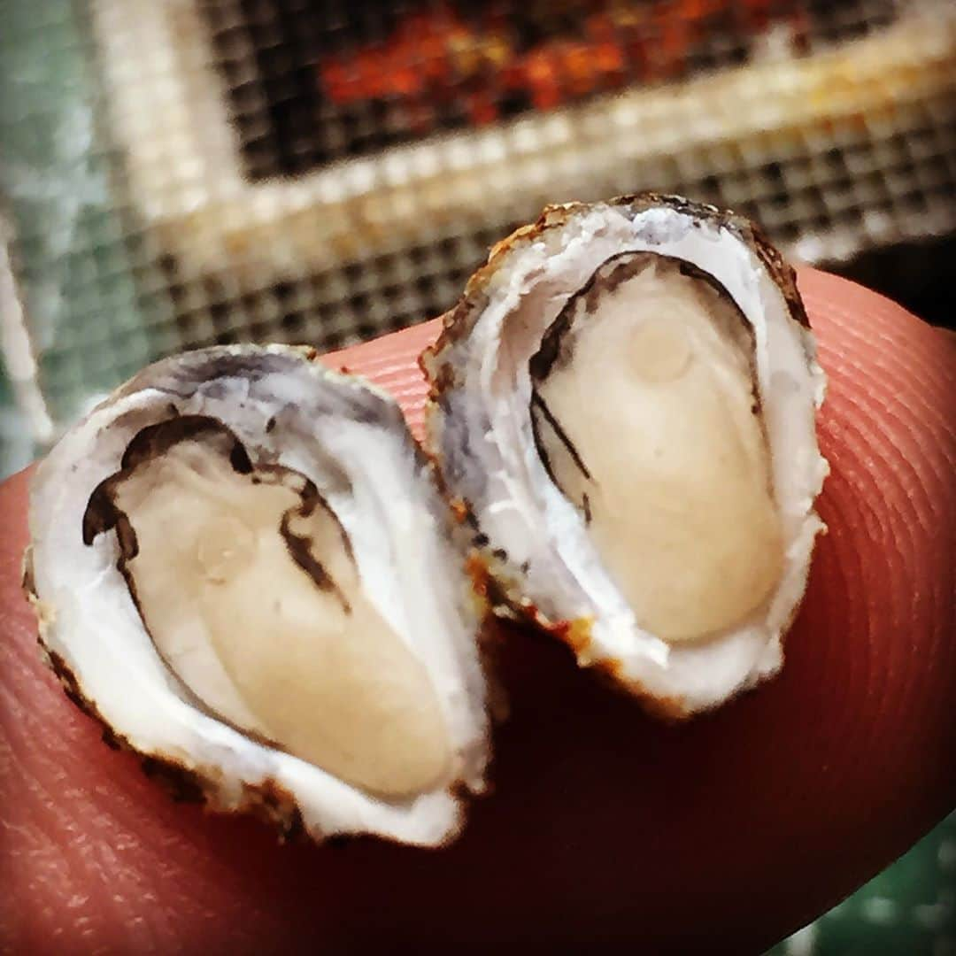 萩谷幹さんのインスタグラム写真 - (萩谷幹Instagram)「#広島産牡蠣 #牡蠣 #オイスター #oyster #焼きがき #貝柱 #レモンをかけて食べたい #亜鉛が豊富 #でもこの牡蠣食べれません #だって #樹脂粘土 #miniature  #miniaturefood  #on the finger」8月6日 7時52分 - kinkan3