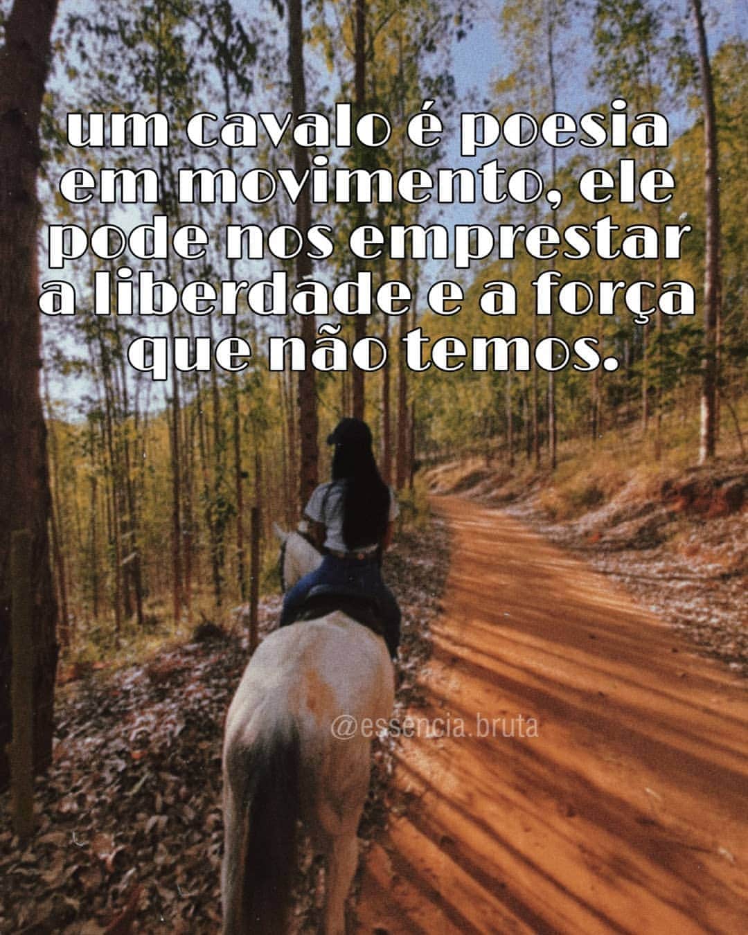 ベルナルジ・アニシオ・カルデイラ・ドゥアルテさんのインスタグラム写真 - (ベルナルジ・アニシオ・カルデイラ・ドゥアルテInstagram)「boa noite pessoal 🌾🌾🐴 • 𝑎𝑑𝑚𝑠: @marina.asc @nandadlazare • 𝑝𝑎𝑟𝑐𝑒𝑟𝑖𝑎𝑠 𝑚𝑎𝑟𝑐𝑎𝑑𝑎𝑠 𝑛𝑎 𝑓𝑜𝑡𝑜   . . . . . .  #boanoite #cavalo #horse #country #countrylife #cowgirl #bruta #topcaipira #carimbaqueétop #aquiosistemaébruto #caipira #rodeio #vidanocampo #muladeiros #sertanejoraiz  #sertanejando #semfrescura #cavalo #cavalos #cowgirl #cowtrylife #mato #brutos #brutosebrutas #roça #brutas #rustico #brutarusticaesistematica #veterinária #brutasistematica #agronomiabruta #sertanejo」8月6日 7時53分 - essencia.bruta