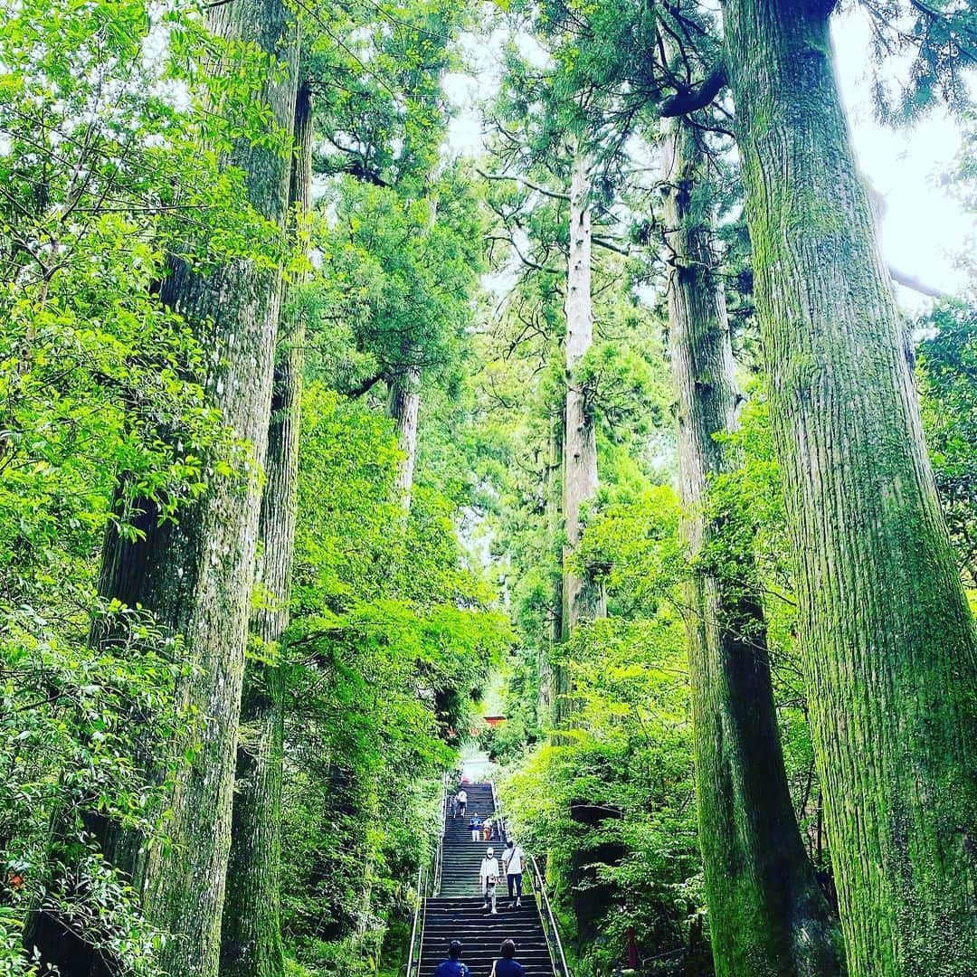 Hiroe Hiranoさんのインスタグラム写真 - (Hiroe HiranoInstagram)「伊豆半島から移動した先は、 箱根神社と芦ノ湖へ⛩✨  みずみずしい緑と神聖な空気💎 湖畔周りのハイクコースへ🌿 九頭龍の森も🌳🌳🌳 3時間ほど巡りました。  なんとも気持ちいい時間🌈  湖って海と違った魅力があって穏やか✨  ハイキング好きな私は、 新たなスポットを発見したので 次回また行こう✌️  #japan #箱根　#日本　#shirin  #green #緑 #日頃の感謝の想いを込めて　#いのちに感謝する日 #peace #peacefulmoments」8月6日 8時45分 - hiroe_hirano