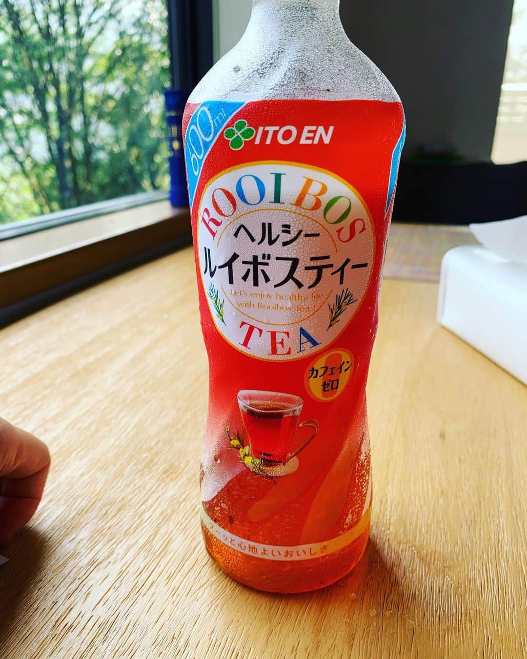 丸山桂里奈さんのインスタグラム写真 - (丸山桂里奈Instagram)「たまーに、飲みたくなるルイボスティー😄👏 なかなか売ってなくない？  #ルイボスティーがある朝 #緑の中の私 #やっぱり緑はいいよね #サイコー #お仕事は夜 #コロナを忘れる場所 #それが大事 #ゆっくりゆっくりいこう #みんなが笑顔でありますように #有吉さんのオーディションに落ちて #落ち込んでます #ただ落ち込む暇はない #とにかく前向きにチャレンジします #あのメンバーに入れるように #いい意味で #インスタバエ」8月6日 9時22分 - karinamaruyama