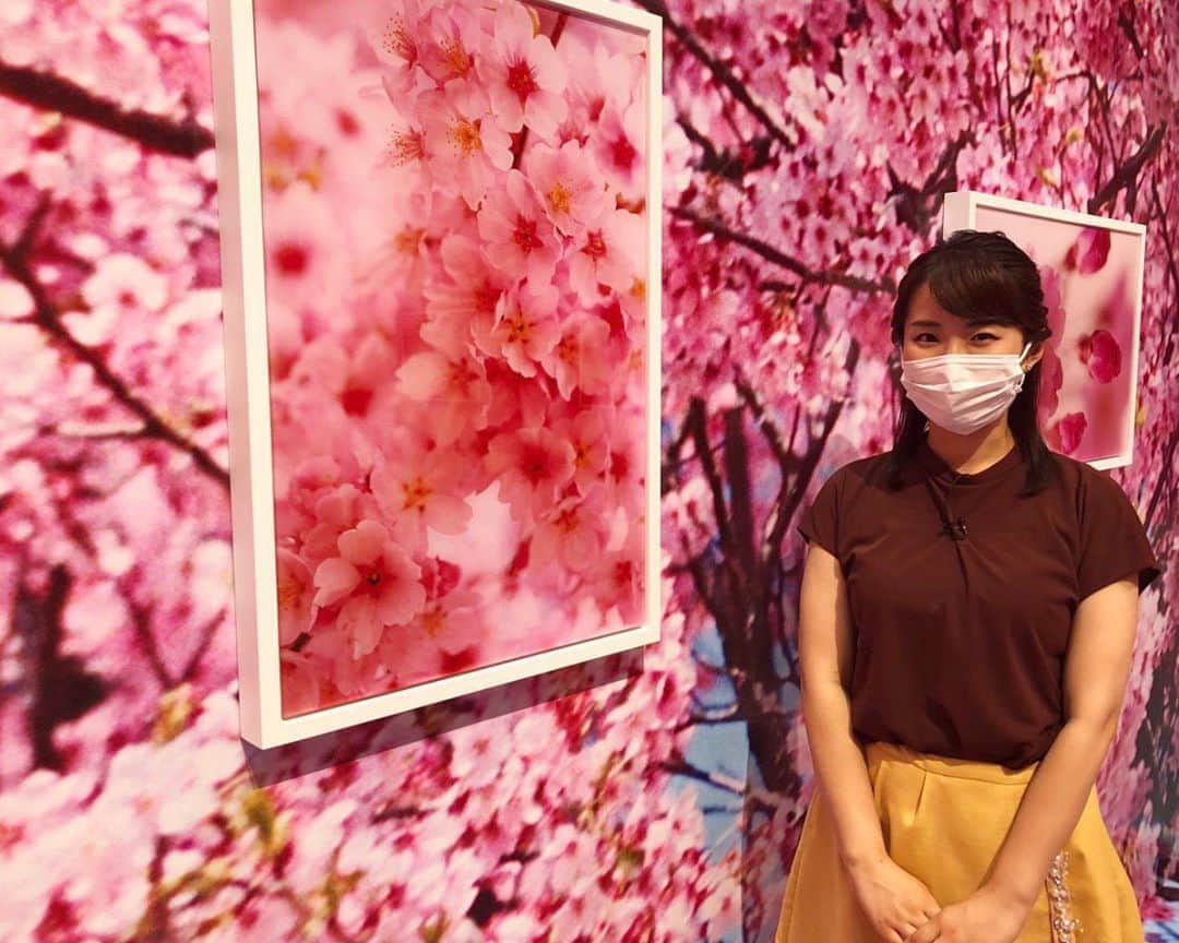 札幌テレビ「どさんこワイド朝」のインスタグラム