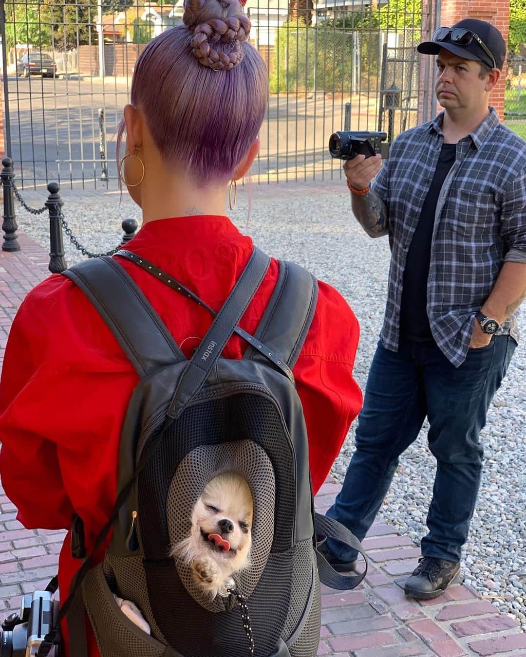 ケリー・オズボーンのインスタグラム：「I always find a way to bring Polly to work... much to @jackosbourne ‘s disapproval lol lol lol 😂 😝」