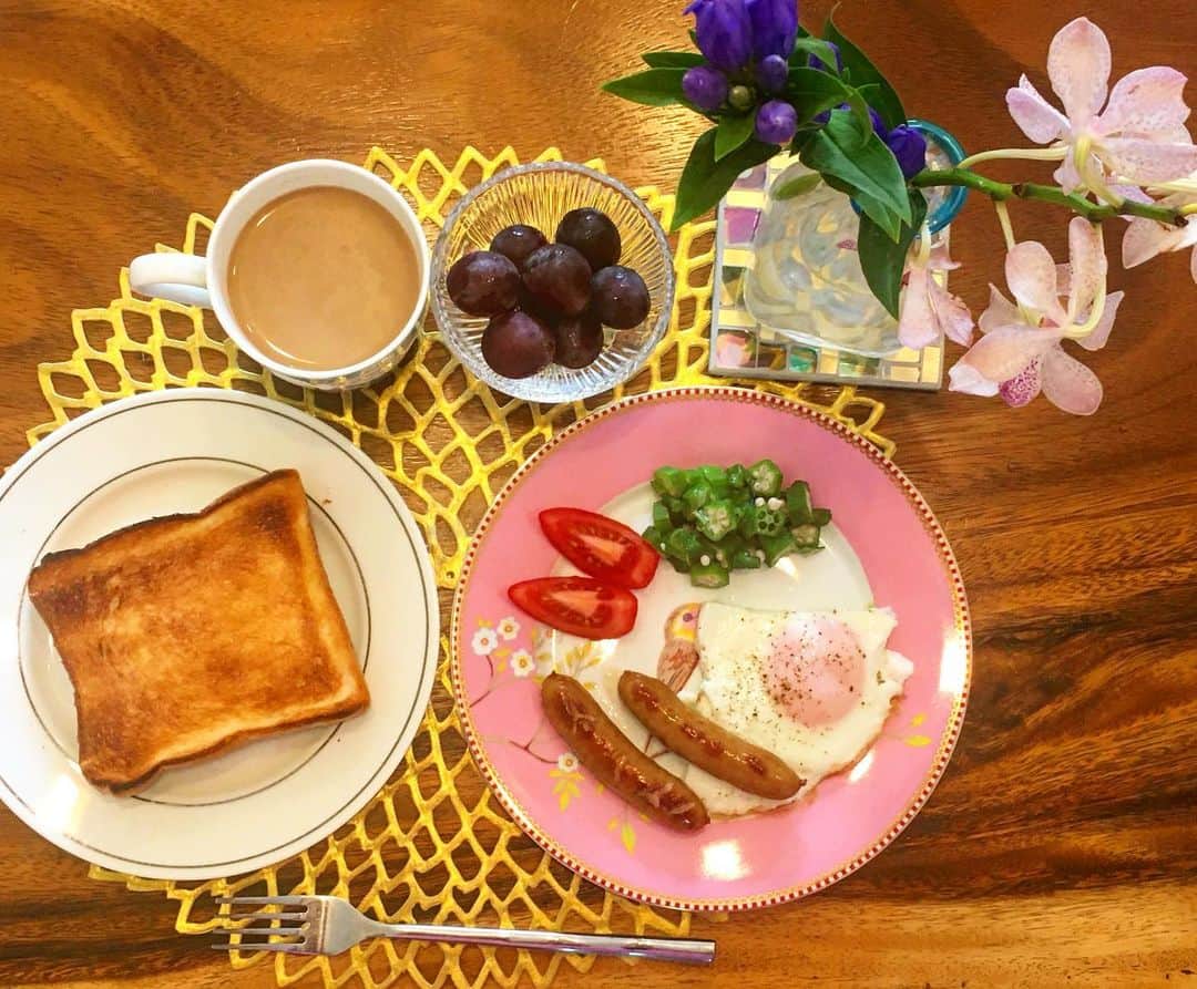 六車奈々さんのインスタグラム写真 - (六車奈々Instagram)「今朝は、パン。  せりが選んだお花と一緒に^ ^  #朝ごはん #お家ごはん #花のある暮らし #ワーママごはん」8月6日 9時29分 - nanarokusha