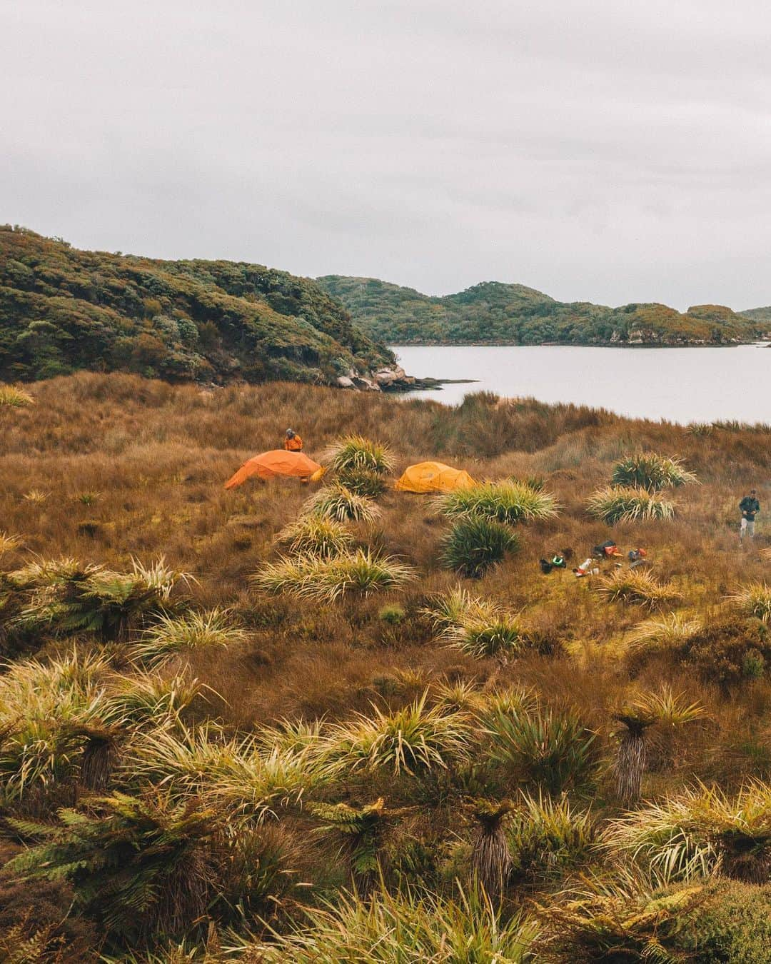 マイケル・ドーソンさんのインスタグラム写真 - (マイケル・ドーソンInstagram)「Magic place we called home for 2 days. Swipe ➿ - Easy Harbour, right next to False Easy Harbour. We camped out and waited for a big swell to pass through (thanks to our weather guru @tyler.n.fox) then headed for the South Cape.  #nrsweb #exploreyourbackyard #nzmustdo #nz #seakayaking」8月6日 19時18分 - mrmikedawson