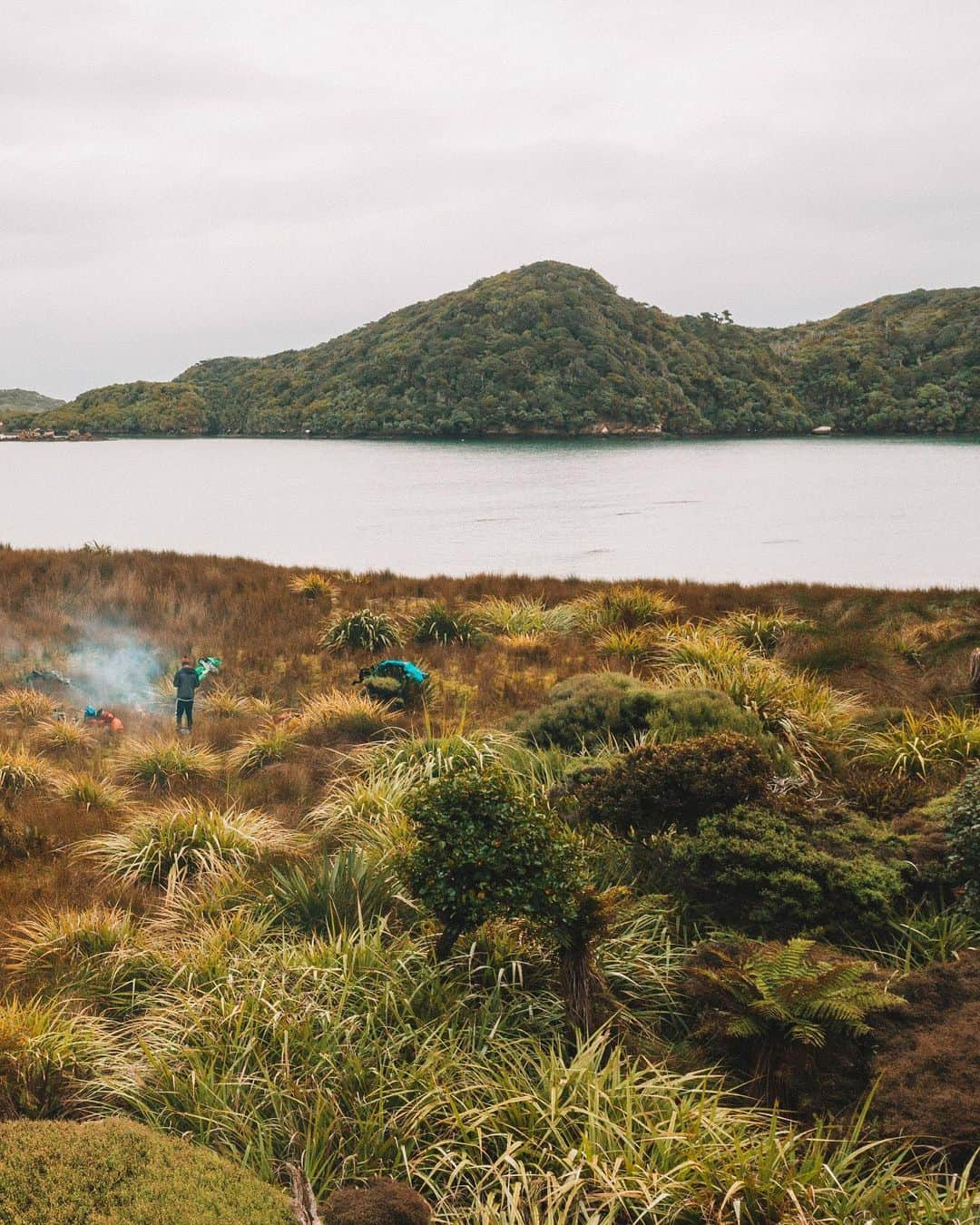 マイケル・ドーソンさんのインスタグラム写真 - (マイケル・ドーソンInstagram)「Magic place we called home for 2 days. Swipe ➿ - Easy Harbour, right next to False Easy Harbour. We camped out and waited for a big swell to pass through (thanks to our weather guru @tyler.n.fox) then headed for the South Cape.  #nrsweb #exploreyourbackyard #nzmustdo #nz #seakayaking」8月6日 19時18分 - mrmikedawson