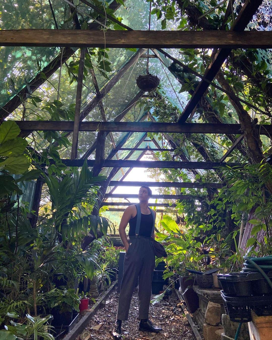 ローガン・ハフマンのインスタグラム：「Doing research on my next  Greenhouse/Laboratory/DiningRoom  Here's a little teaser.................................. Madagascan👏🏼Giant 👏🏼Fern👏🏼. 🌱  #Greenhouse」