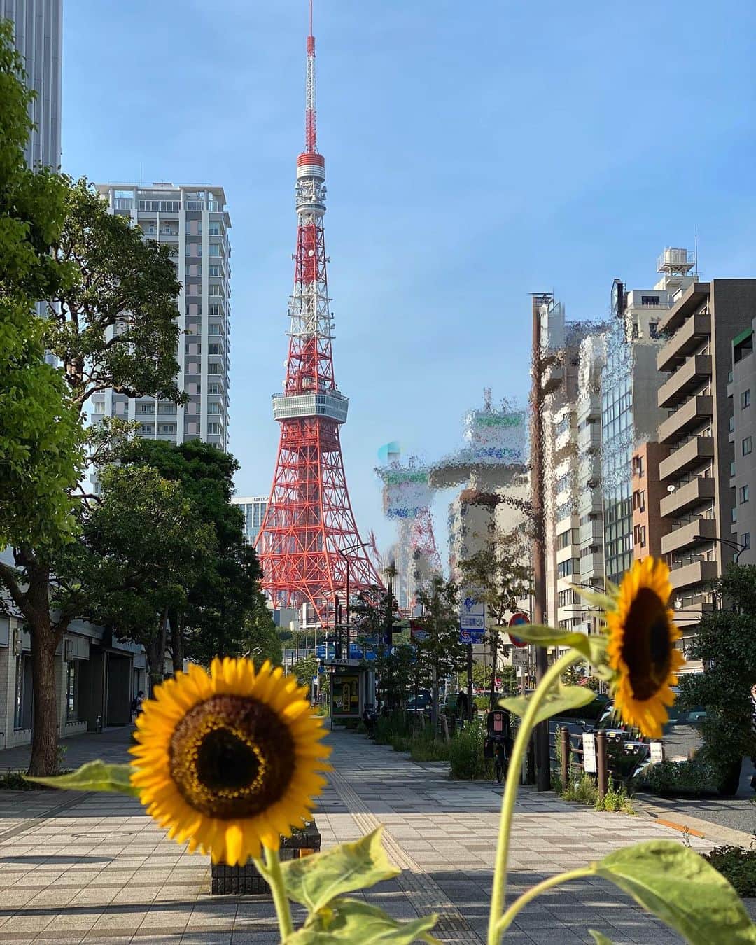 早見優さんのインスタグラム写真 - (早見優Instagram)「Beautiful summer day in Tokyo  #tokyotower #東京タワー  #ひまわり #sunflower #tokyo」8月6日 20時06分 - yuyuhayami