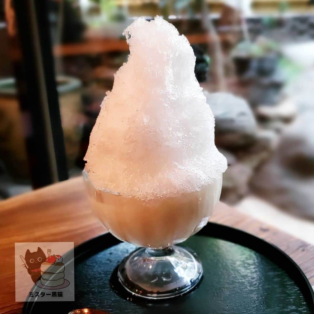 ミスター黒猫（黒猫仙人）のグルメインスタ