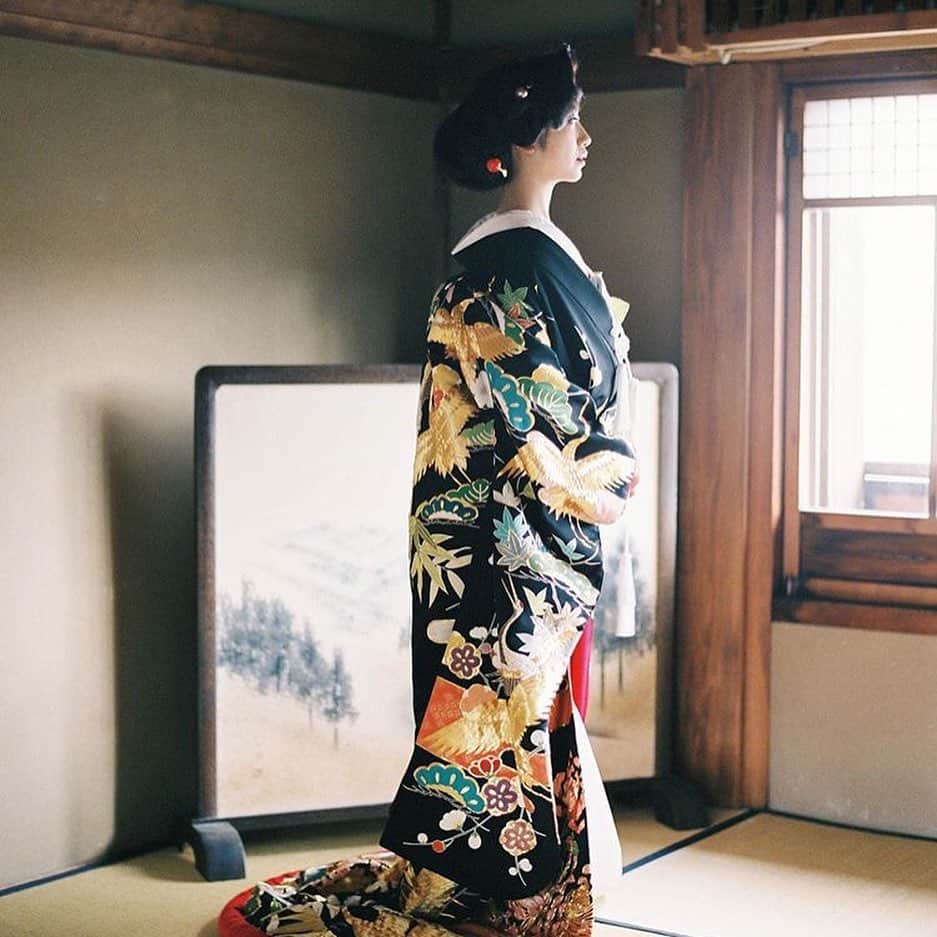 Veronica Halimさんのインスタグラム写真 - (Veronica HalimInstagram)「So happy to be able to team up with @weddingscenesnaoko to create a stationery set for this Japanese traditional kimono wedding styled shoot in KYOTO. . . Coordination and styling @weddingscenesnaoko  Photography @clybymatthew  Hair&make &着付け　@kyoto.kimono.style  Model @chika291  Stationery & Calligraphy: @truffypi  Color robe : GINZA COUTURE NAOCO Location KYOTO,JAPAN . . #truffypi #destinationwedding  #japanesetraditionalwedding #weddingkimono #白無垢 #色打掛 #traditionalwedding ⁠#kimonostyle #kyoto #小林直子 #ウェディングシーンズ #japanesekimono #フリーウェディングプランナー #ウェディングプランナー #ウェディングプランナーの日常 #japanesecalligraphy #kimono #着物 #着物コーディネート #和装前撮り #和装花嫁 #和装結婚式  #weddingcalligraphy #カリグラフィー #calligraphyinvitation #weddinginvitationcard #招待状 #プレ花嫁#ハワイウェディングプランナー #ヨーロッパウェディングプランナー」8月6日 12時09分 - truffypi