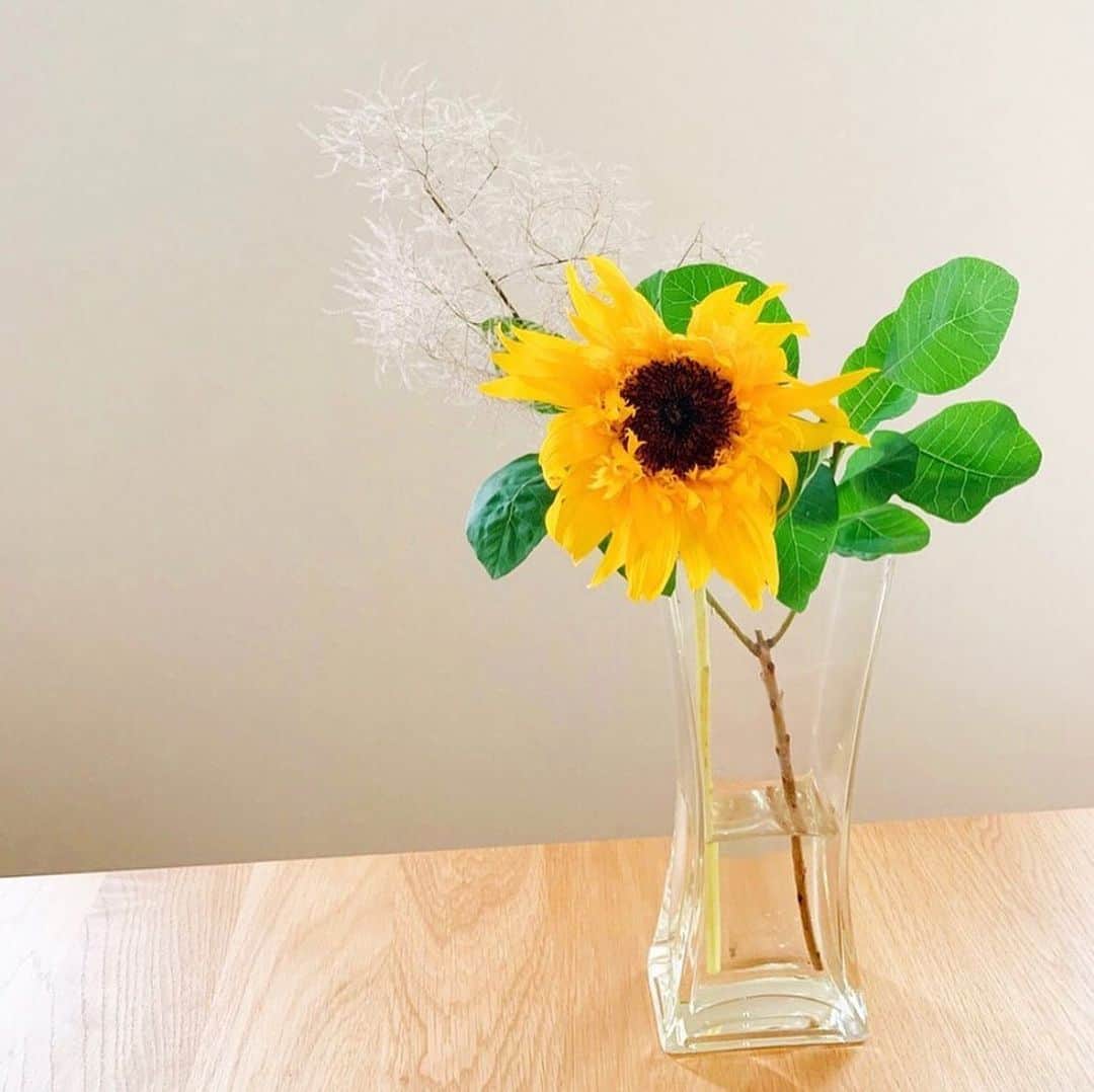 ムクリ［mukuri］さんのインスタグラム写真 - (ムクリ［mukuri］Instagram)「真夏を彩るお花、それはヒマワリ。スモークツリーを添えて洋風な雰囲気へ。﻿ ﻿ 夏といえばやっぱりヒマワリでしょうか。﻿ 空へと一直線に伸びたその姿は﻿ 暑い日差しでうつむきがちな私たちに﻿ なんだか元気を与えてくれます。﻿ ﻿ 部屋の中にも黄色の花が一輪あるだけで、﻿ 夏を感じられますね。﻿ ﻿ 気温の高い夏場は生花にとって長持ちしづらい環境。﻿ たくさんのお花を買っても枯れるのも早い。﻿ 1本でも豪華に見えるヒマワリは貴重な存在。﻿ ﻿ ご紹介したのは「ゴッホのひまわり」と呼ばれ、﻿ 有名な絵画「ひまわり」に書かれた品種にとても似ていることから名付けられたそうです。﻿ ﻿ 家にいる時間も長い今年の夏。﻿ おうちの中でも季節を感じ続けたいですね！﻿ ﻿ ▶︎ご紹介した記事﻿ https://mukuri.themedia.jp/posts/6735916﻿ ﻿ ﻿ #向日葵 #ヒマワリ #スモークツリー #花 #夏 #花のある暮らし #花のある生活 #flowerstagram #賃貸インテリア #マンションインテリア #インテリア #interior #シンプルインテリア #マイホーム #リビング #ダイニング #おうち #おうち時間 #マンション暮らし #賃貸暮らし #シンプルライフ #シンプルな暮らし #日々の暮らし #暮らし #くらしの編集 #暮らしを楽しむ #丁寧な暮らし #植物のある暮らし #緑のある暮らし #ムクリ」8月6日 12時21分 - mukuri_official