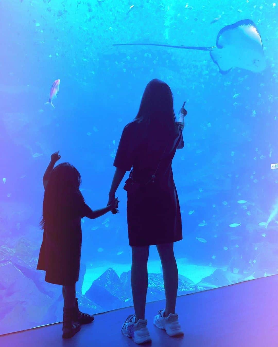 ハンナ・クインリヴァンのインスタグラム：「Under the sea 🐠🐡🐚.」