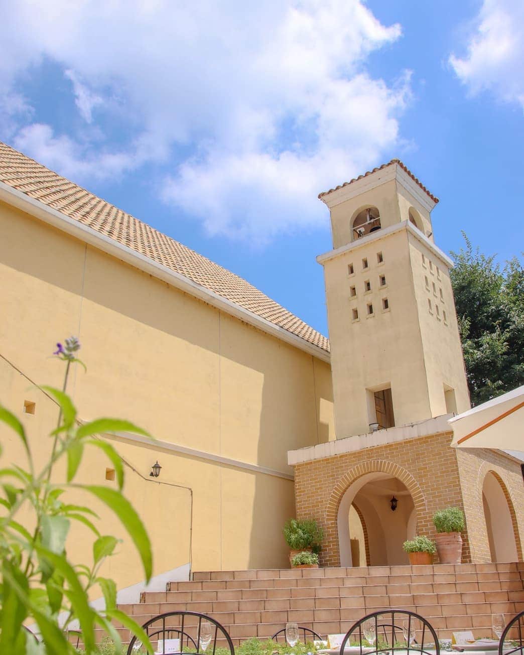 メゾン エルミタージュのグルメインスタ