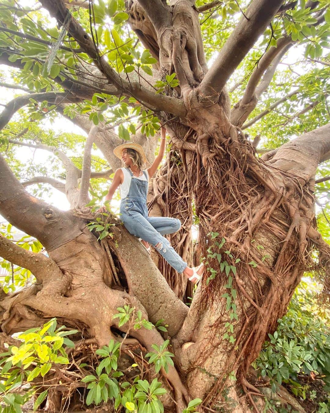 KANAのインスタグラム：「題名　カーザン（ターザン） in 天草  ノンフィルター写真にハマってる。 クラゲ痛かったなー！笑 サーフィン楽しかったけど私糞だったなあ。。🏄‍♀️わら また天草でサーフィンしたい💛  場所はよく分からないけど上天草市にある小さな公園の木  #天草 #熊本 #海 #天草市 #サーフィン #天草観光 #熊本県 #ノンフィルター #波乗り #サーフィン #海がすき #自然が好き #自然がいっぱい #釣り #釣り好きな人と繋がりたい #釣り女子」