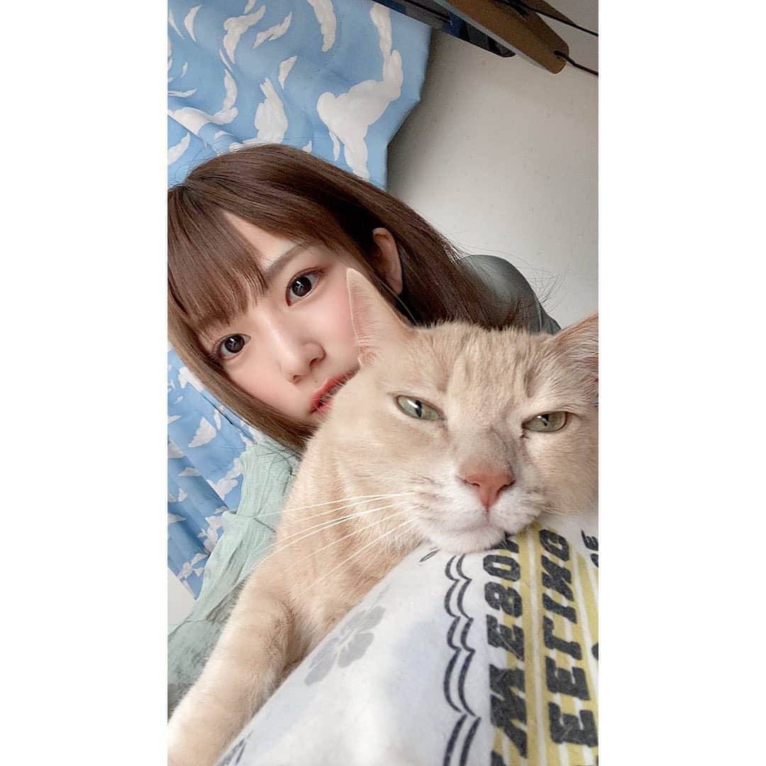 村上りいなさんのインスタグラム写真 - (村上りいなInstagram)「だらー。  #instagood #cat #followme #selfie #猫のいる暮らし #ねこ　#猫」8月6日 13時26分 - riina_murakami