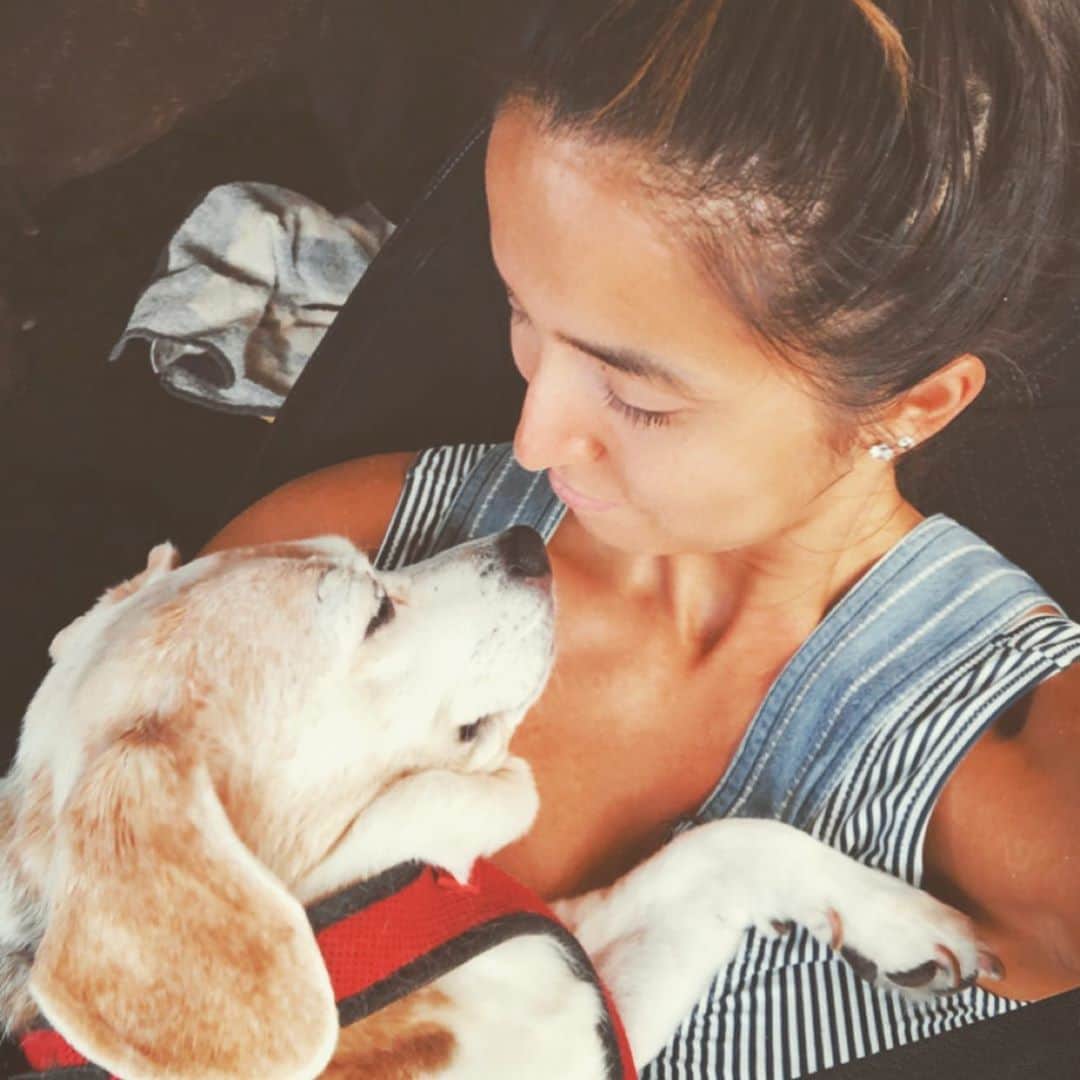 マヤ アリーナのインスタグラム：「You have no idea how much I love you ❣️#pepperchan #seniorbeagle #loveofmylife」