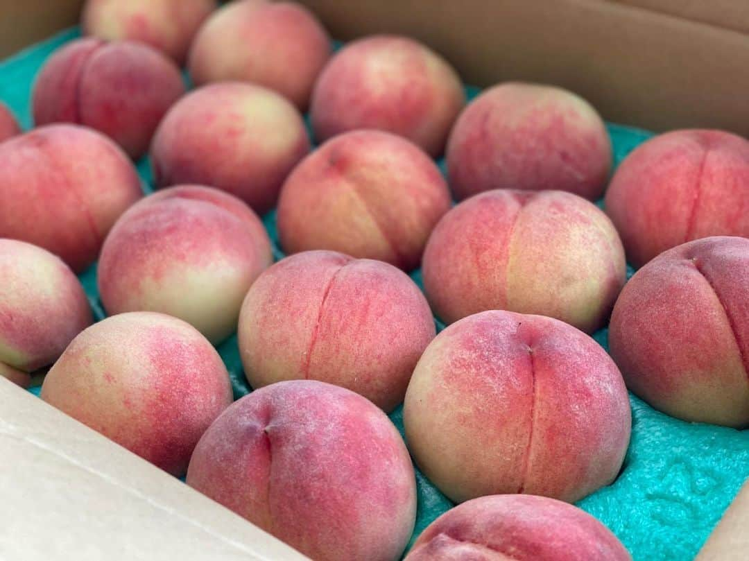 芽華ららさんのインスタグラム写真 - (芽華ららInstagram)「🍑💓🍑💓🍑﻿ ﻿ got a lot of peaches <3﻿ I feel summer in the air﻿ hope you are having a nice summer :)﻿ ﻿ 大好きな桃が届きました🍑💕﻿ 箱を開けた瞬間桃の良い香り〜☺️✨﻿ 甘くて果汁たっぷり💓﻿ 毎日食べるのが楽しみだなぁ🥰﻿ 嬉しすぎる😍 ﻿ ﻿ #peach#fruit#yummy#summer#大好き#桃#ピーチ#果物#夏#フルーツ #🍑#rarastagram #❤️」8月6日 13時48分 - rara.world