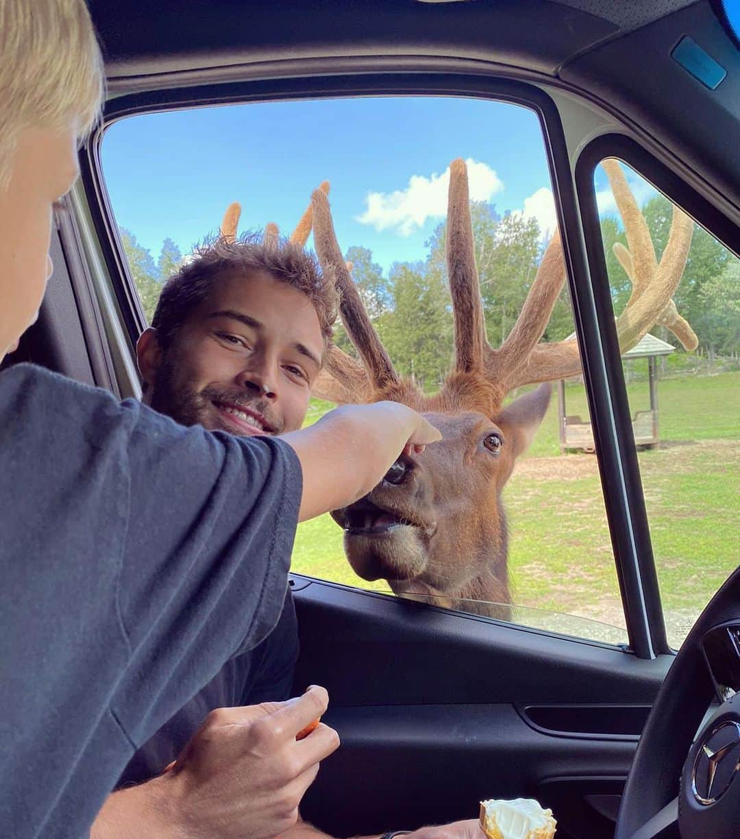 フランシスコ･ラチョースキーのインスタグラム：「Who’s diet is better? 🥕 vs 🍦  Quem tem a melhor dieta? 🦌 🙋‍♂️」