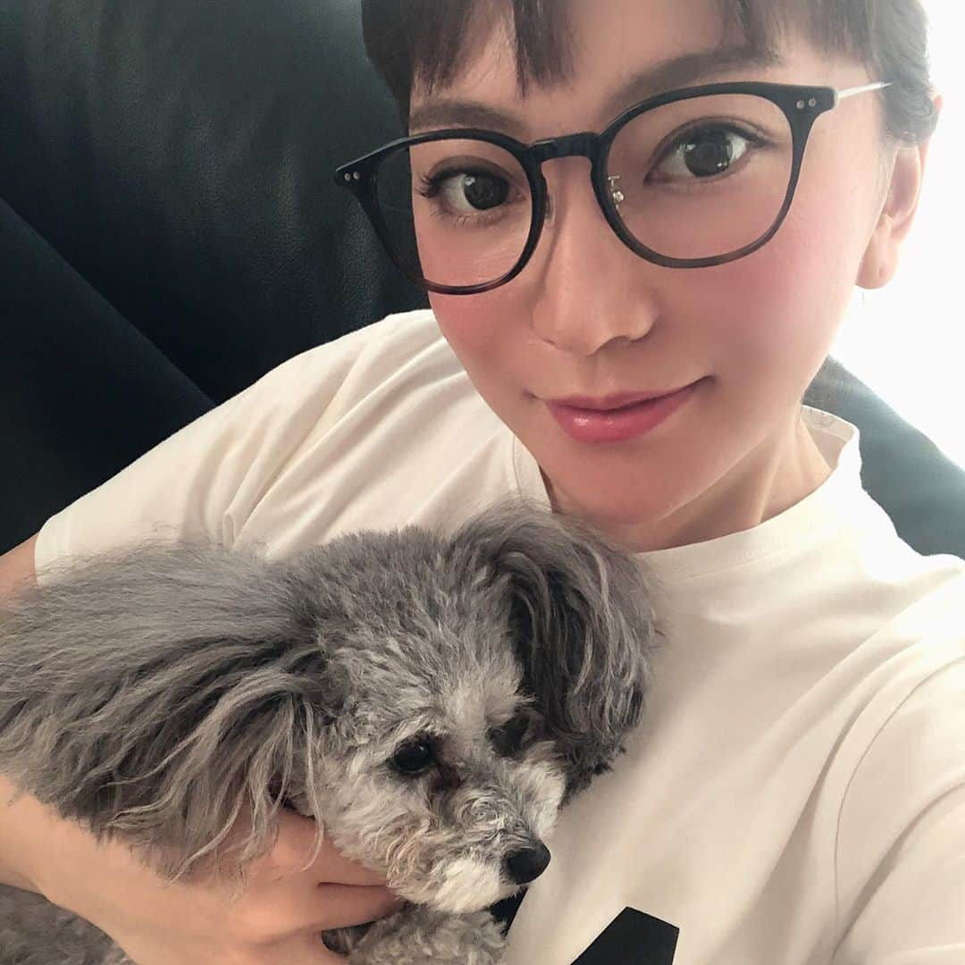 加藤綾菜さんのインスタグラム写真 - (加藤綾菜Instagram)「テスト終わり取材やイベント打ち合わせもして充実した数日間❤️ 今日はYouTube撮ります✨ 見て！前回動画で出したトリミングからもうボサボサになった茶子！ はやっ❗️笑笑」8月6日 14時15分 - katoayana0412