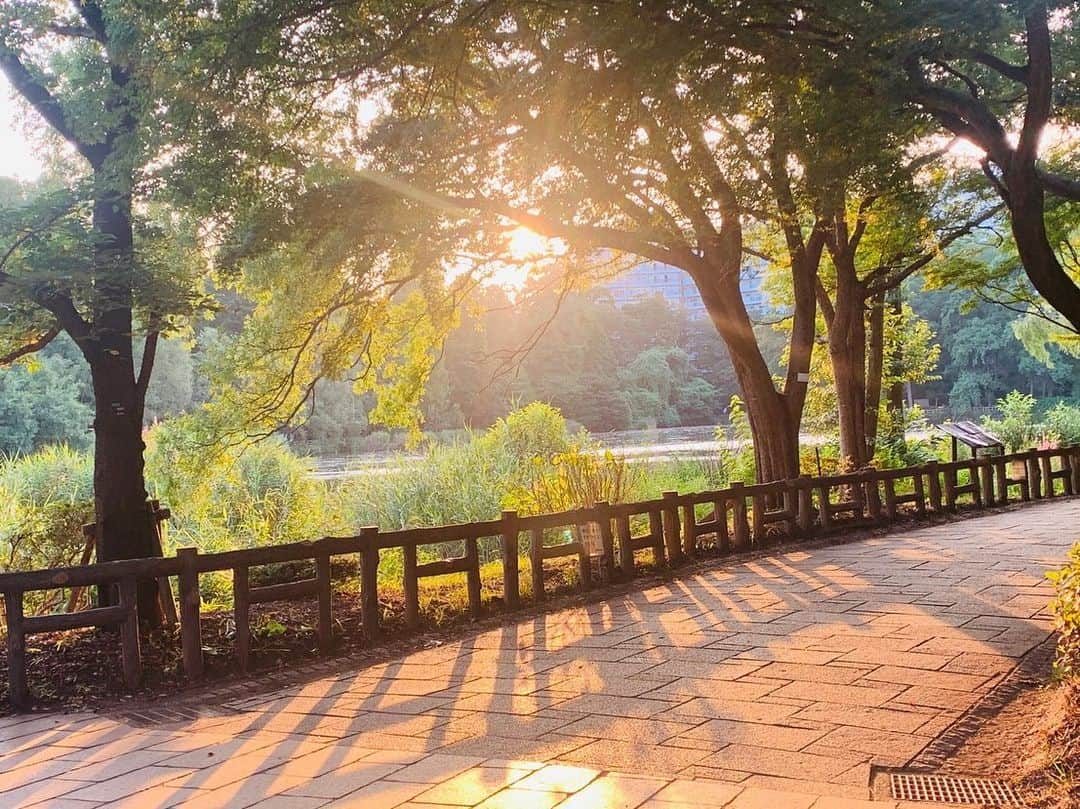 小山桃さんのインスタグラム写真 - (小山桃Instagram)「🌳🍃🎸🎶」8月6日 14時17分 - momoko_pu