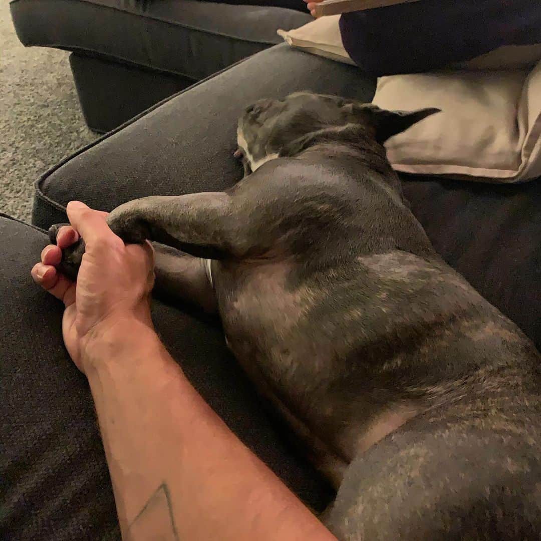 のインスタグラム：「Holding her hand while she naps 💤 ☺️」