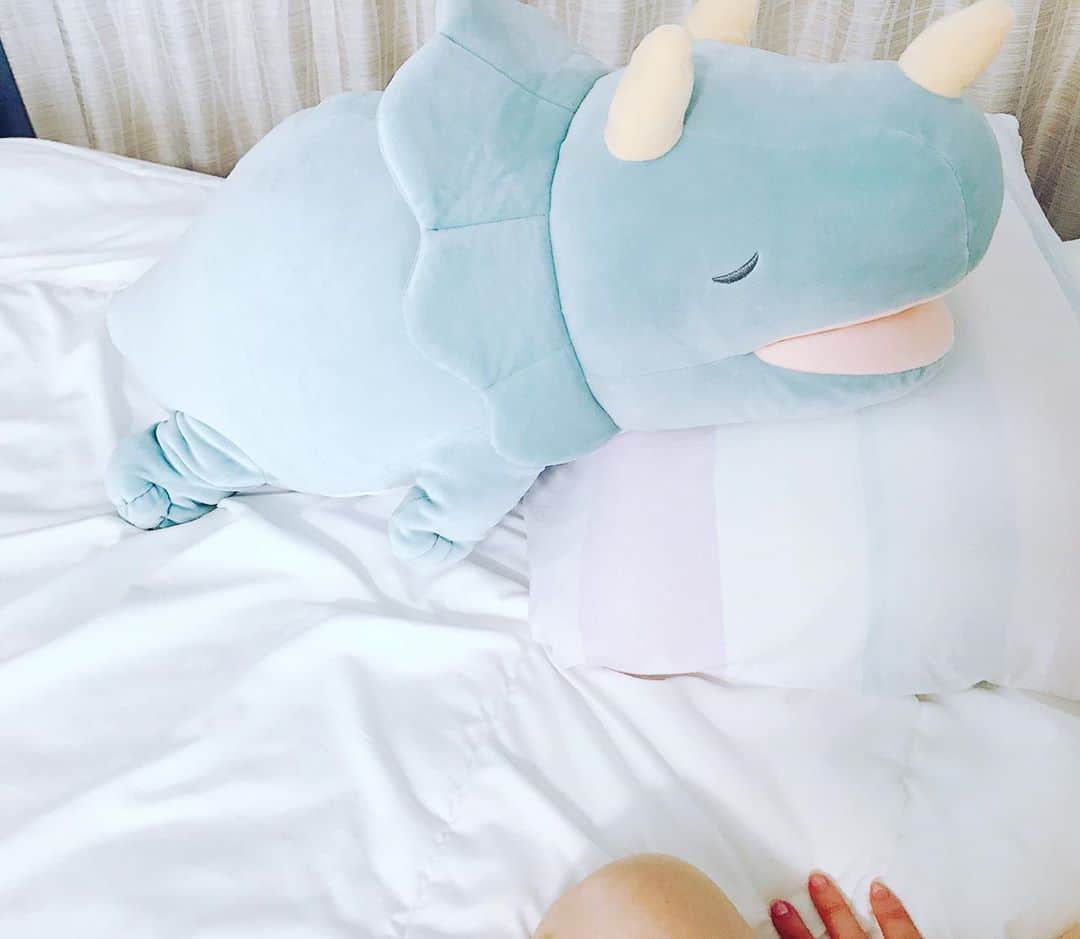 諏訪彩花のインスタグラム：「うちのベッドにはトリケラトプスがいます笑✨口の中とお腹がひんやりしてます笑🎐触りごごち抜群で癒されるし、足で挟むと落ち着くよ🌙」