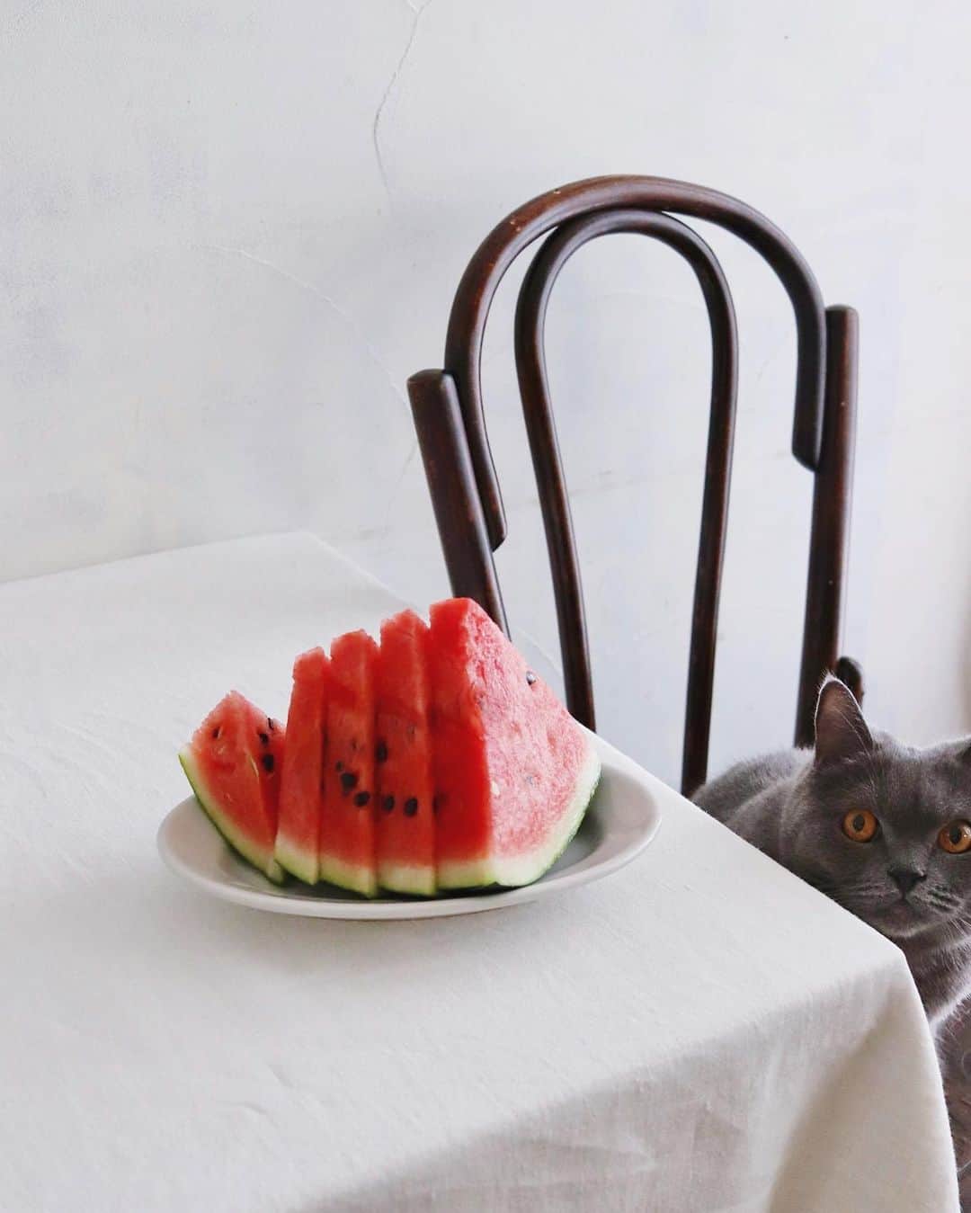 のインスタグラム：「🍉Water melon . 暑い日はスイカ。 . . #watermelon #スイカ #すいか #西瓜 #🍉」