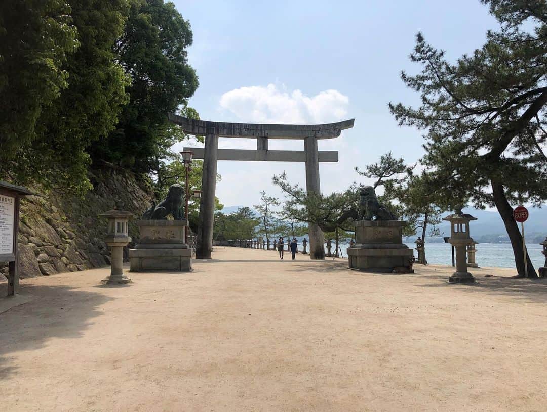 黒澤詩音さんのインスタグラム写真 - (黒澤詩音Instagram)「﻿ ﻿ *﻿ ﻿ "75年は草木も生えぬ"﻿ ﻿ と、いわれて75年。﻿ 広島はとっても素敵なところに。﻿ ﻿ 平和記念公園に、ひろしま美術館も﻿ 他に変えがたい空間。﻿ ﻿ このとき、#宮島 ⛩にも行きました。﻿ ﻿ 海、山、鹿、心地いい風、おいしいもの、穏やかな時間でした。﻿ ﻿ ﻿ #ヒロシマ #厳島神社 #広島 #神社 #揚げもみじ﻿ #hiroshima #miyajima #itsukushima #japan #itsukushimashrine ﻿」8月6日 16時04分 - shionkurosawa_official